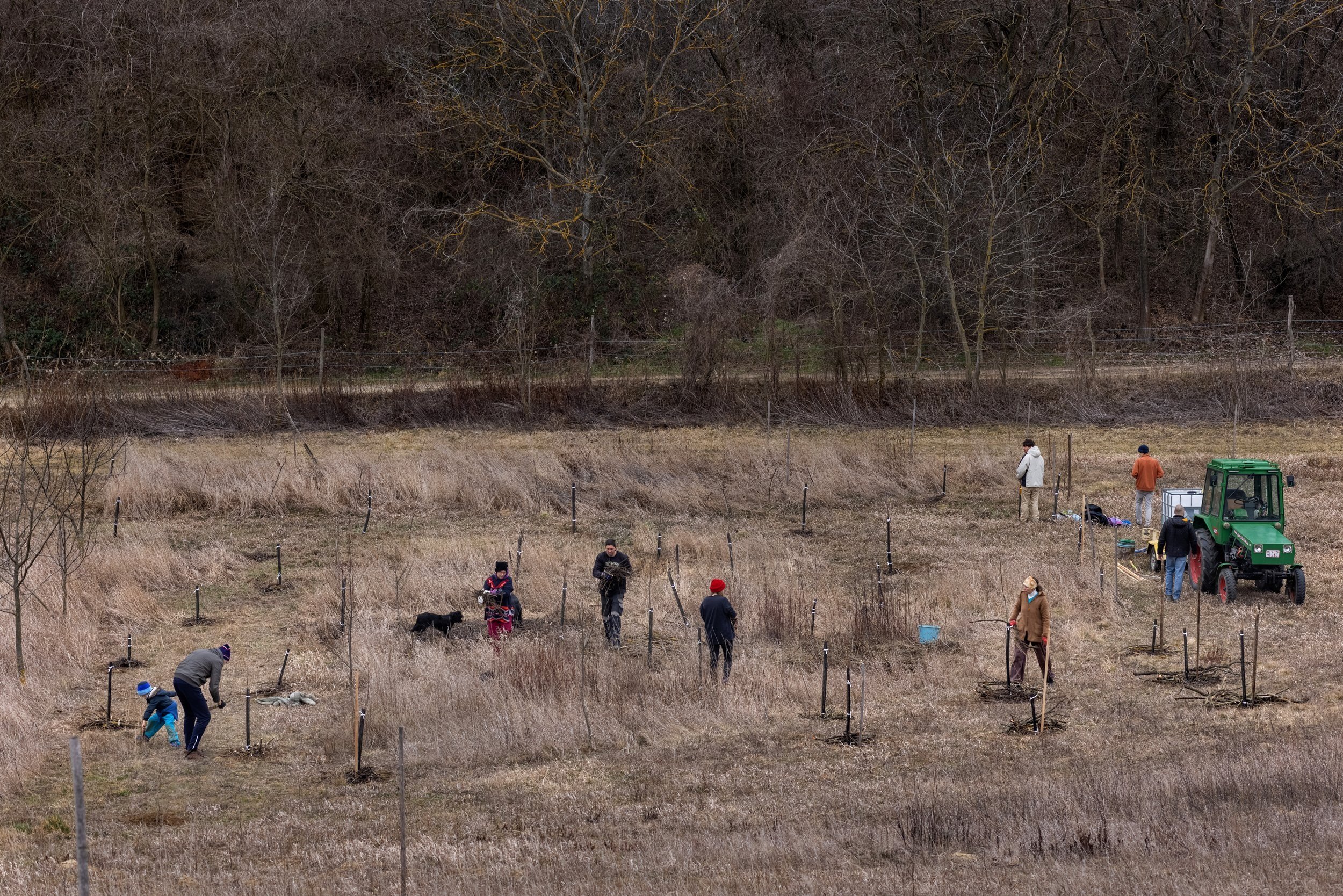  The Nyim Eco Community and volunteers planting a tree on the Eco-meadow on February 19, 2022. As a result of ten years of systematic work, the group has succeeded in establishing several groves and orchards on their jointly owned Eco-meadow. Part of