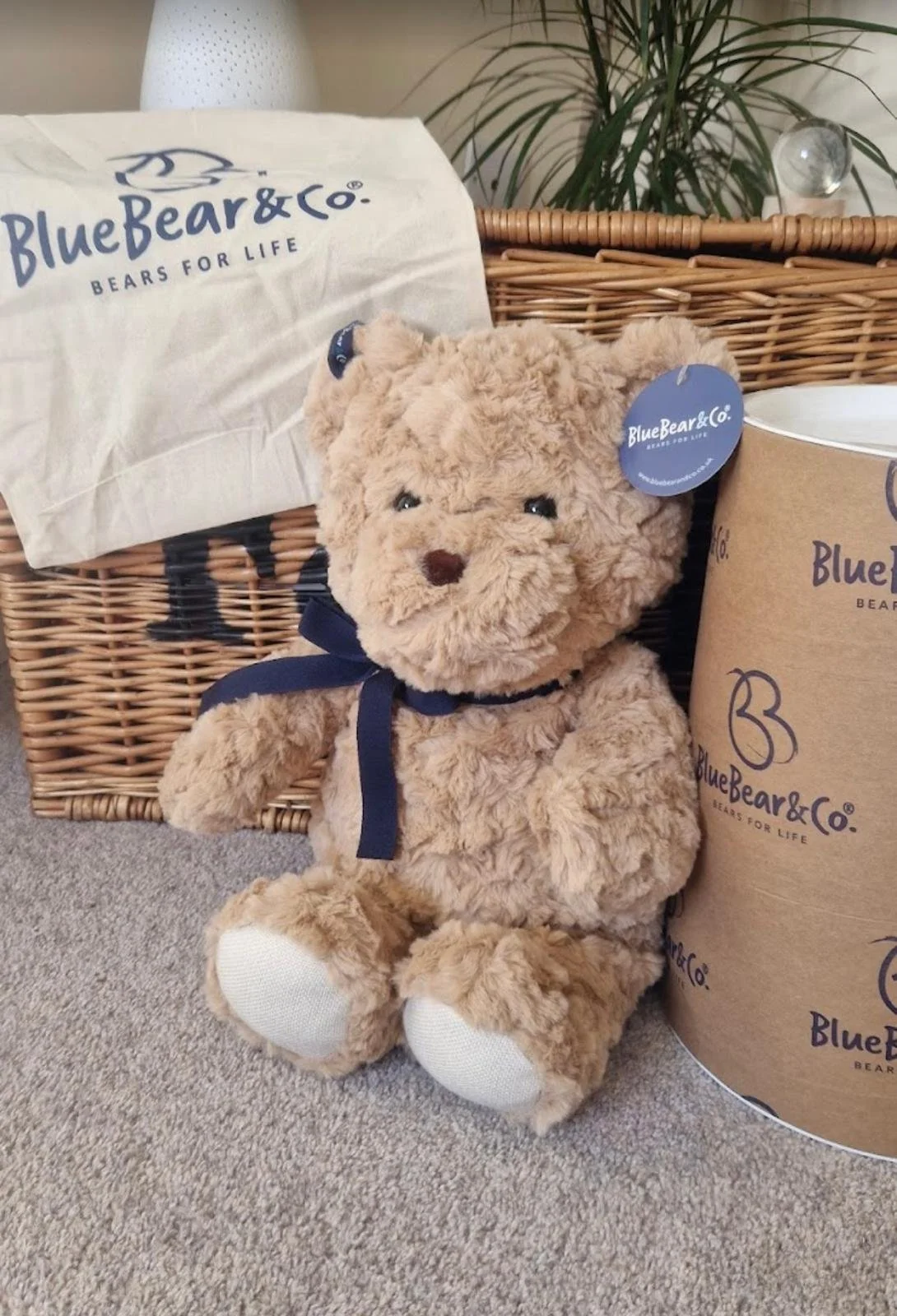 The Bear That Started It All 🧸💙