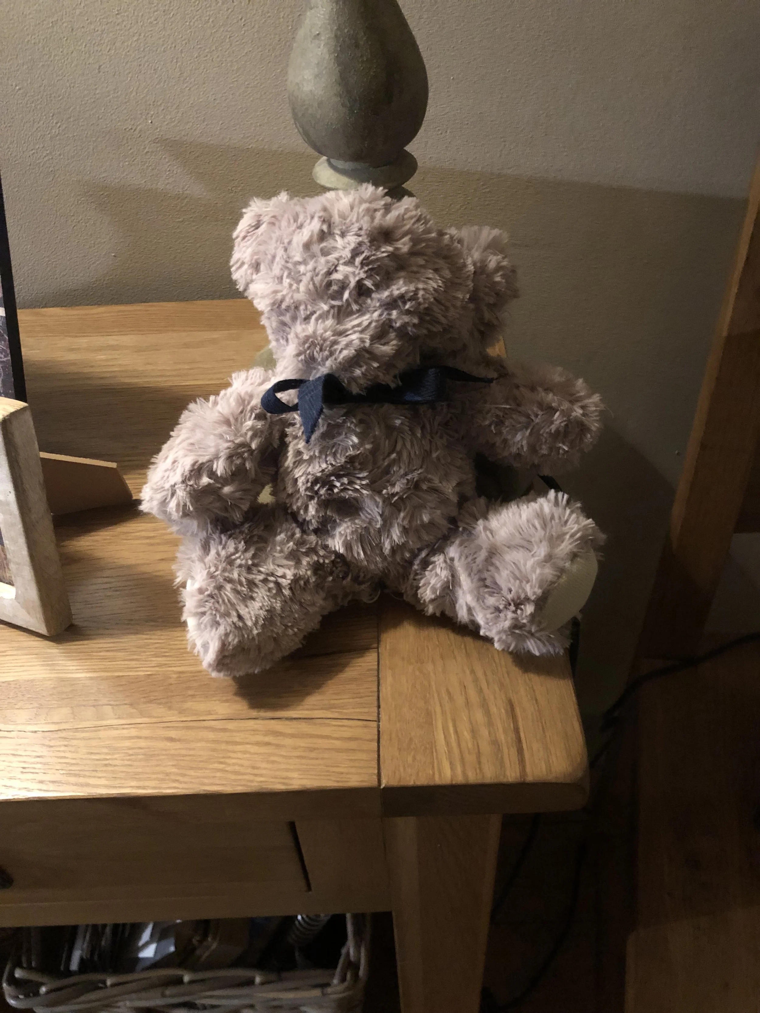 It Was Never Just About a Bear 🤍