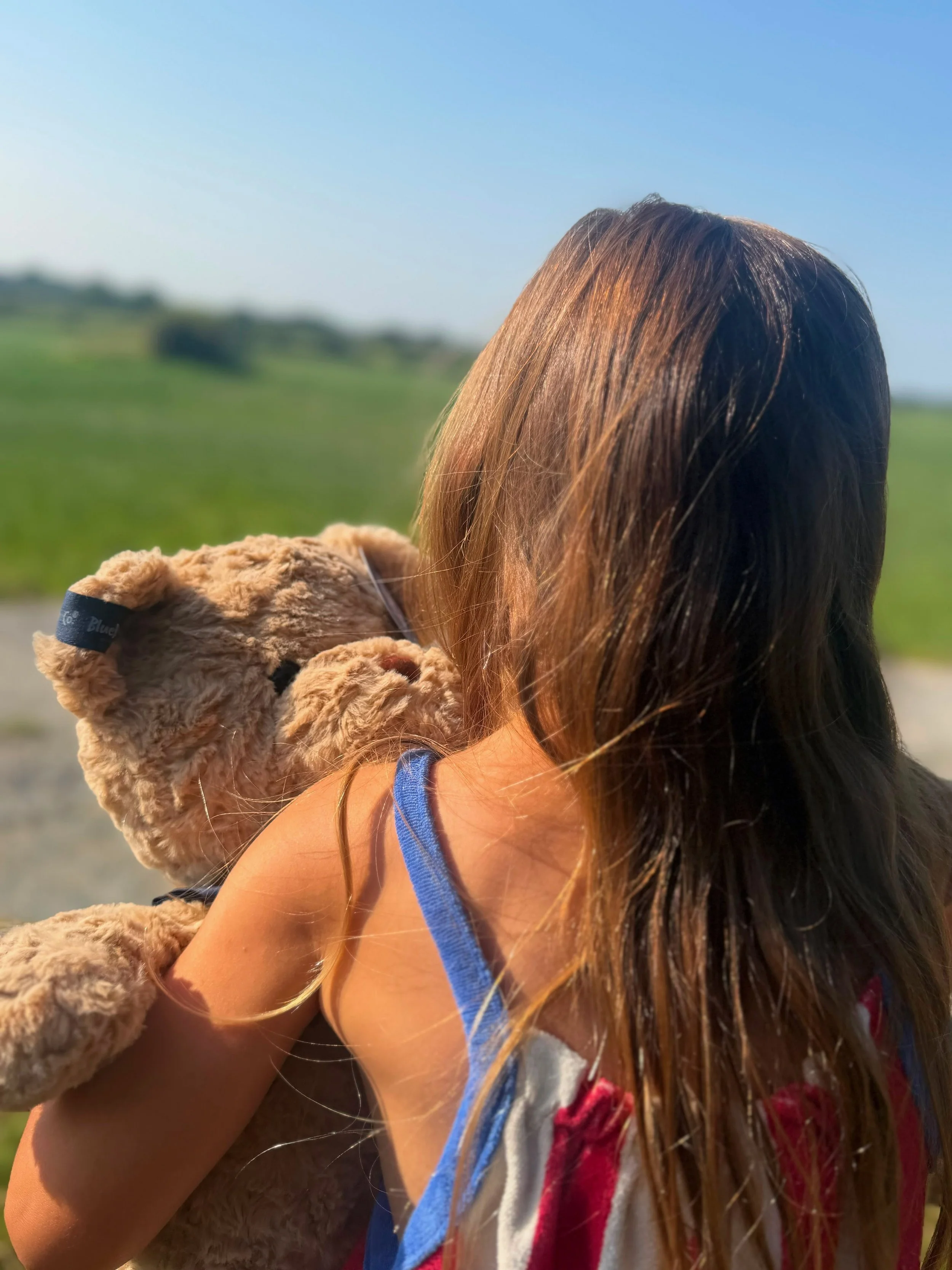 Why Do Teddy Bears Bring Comfort? 