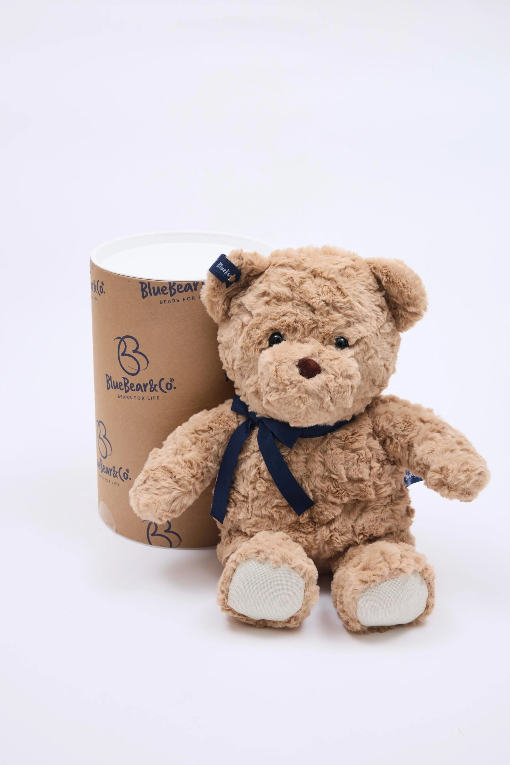 Brown Bear