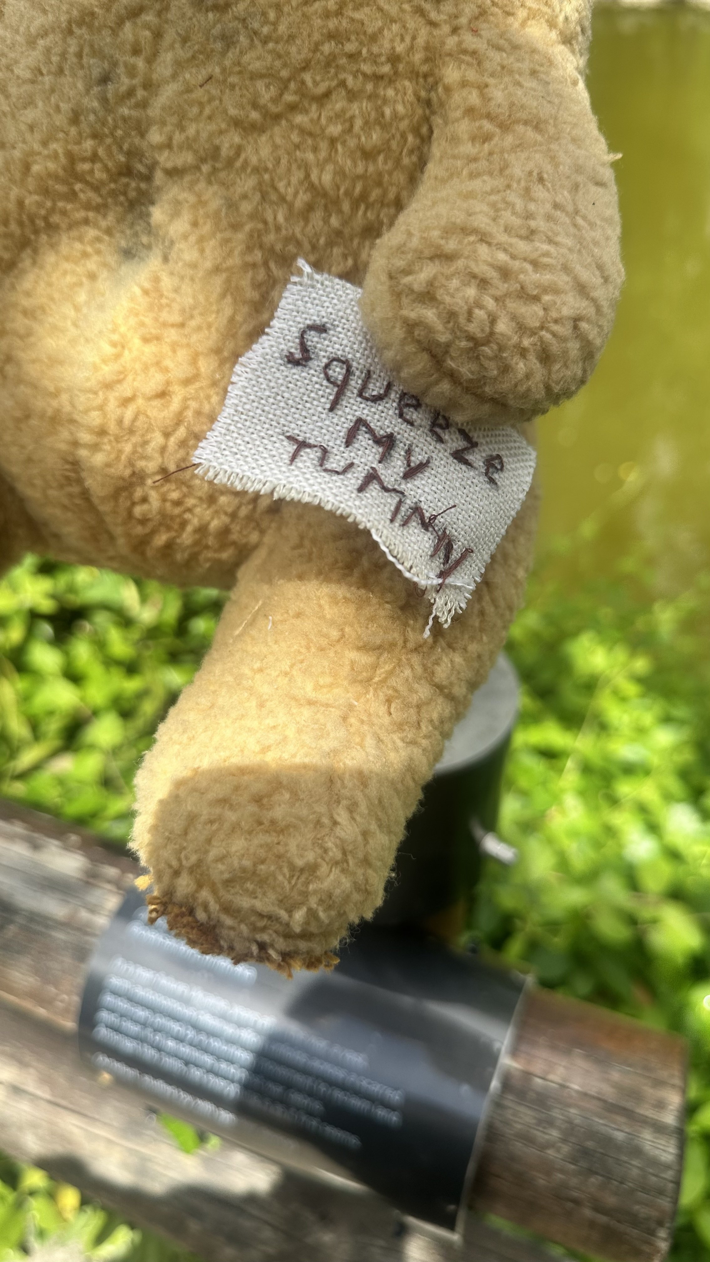 teddy.jpg