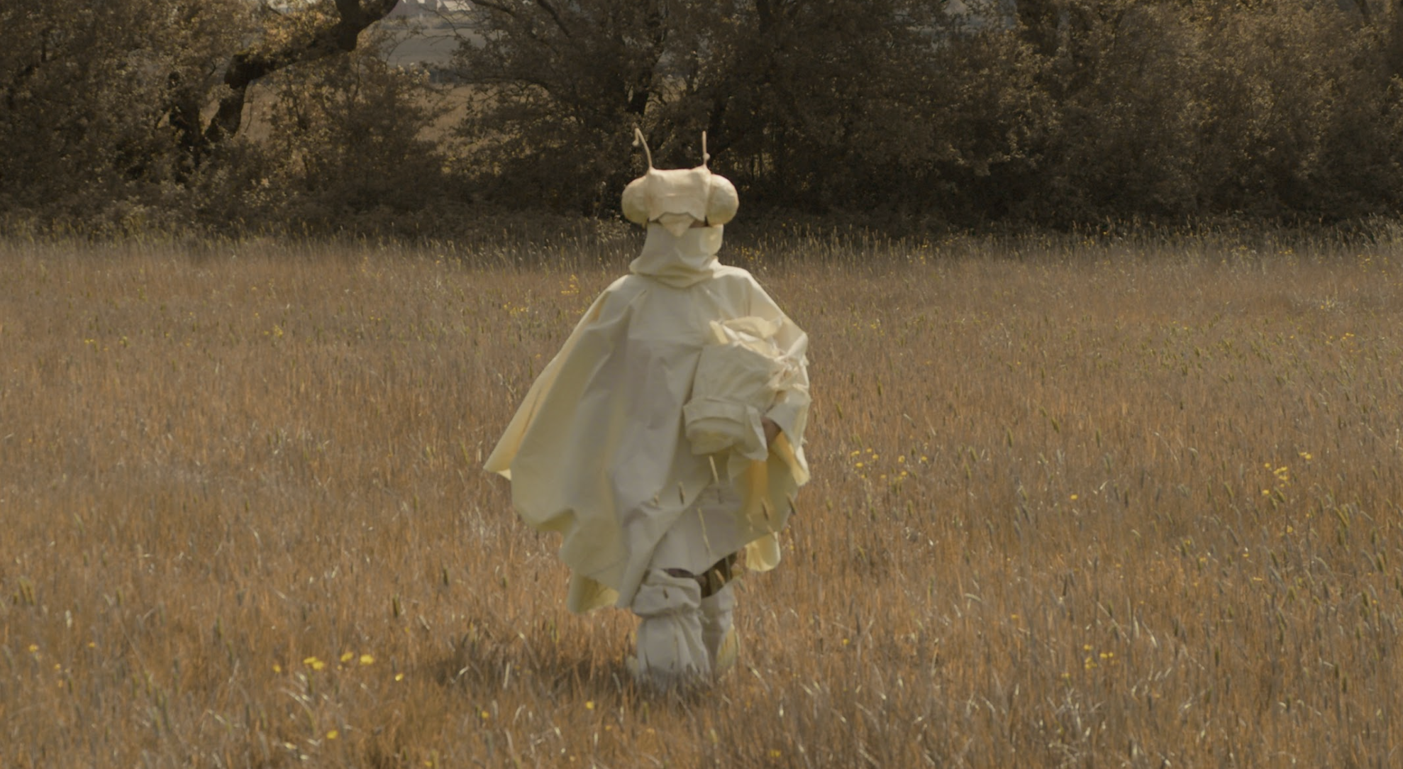 DAY ZERO by Valentin Schmidhuber
