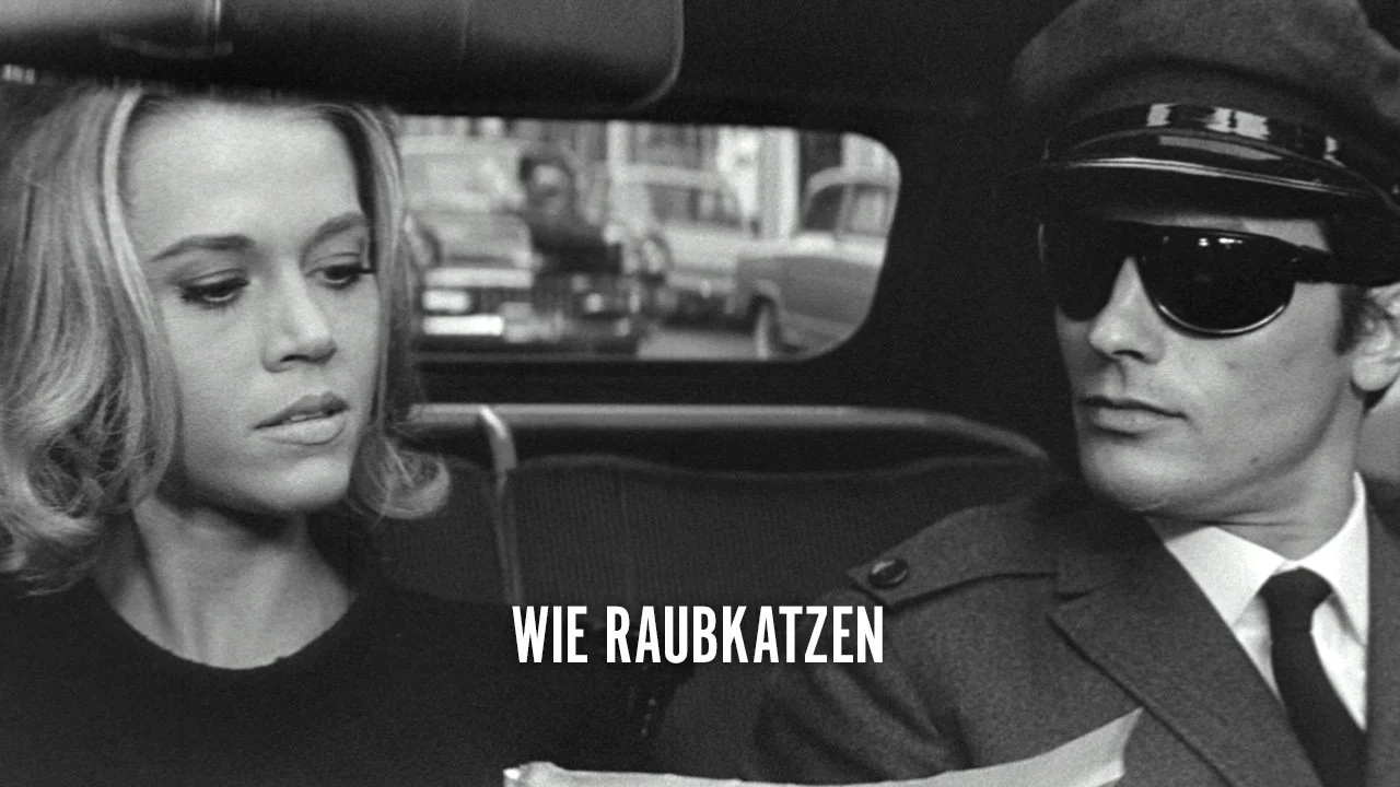 Wie Raubkatzen_1280x720_web_donau.jpg