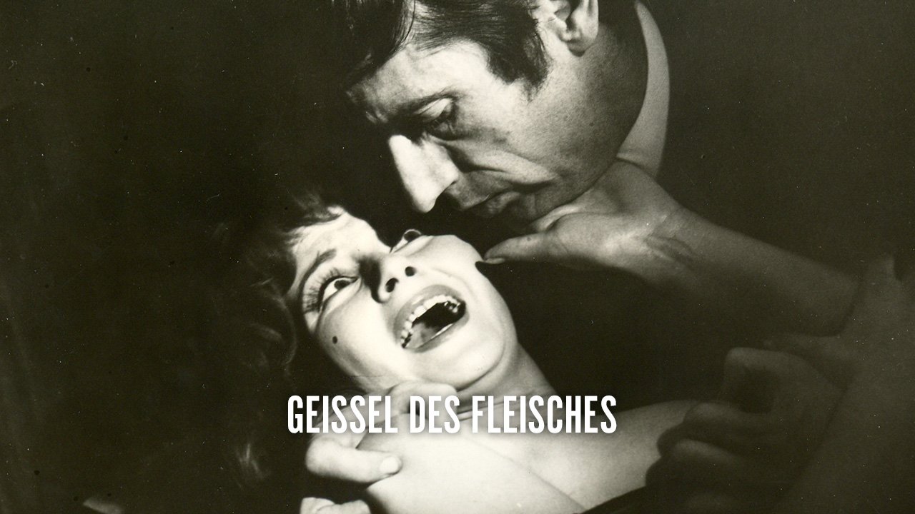 geissel_1280x720_web_donau.jpg