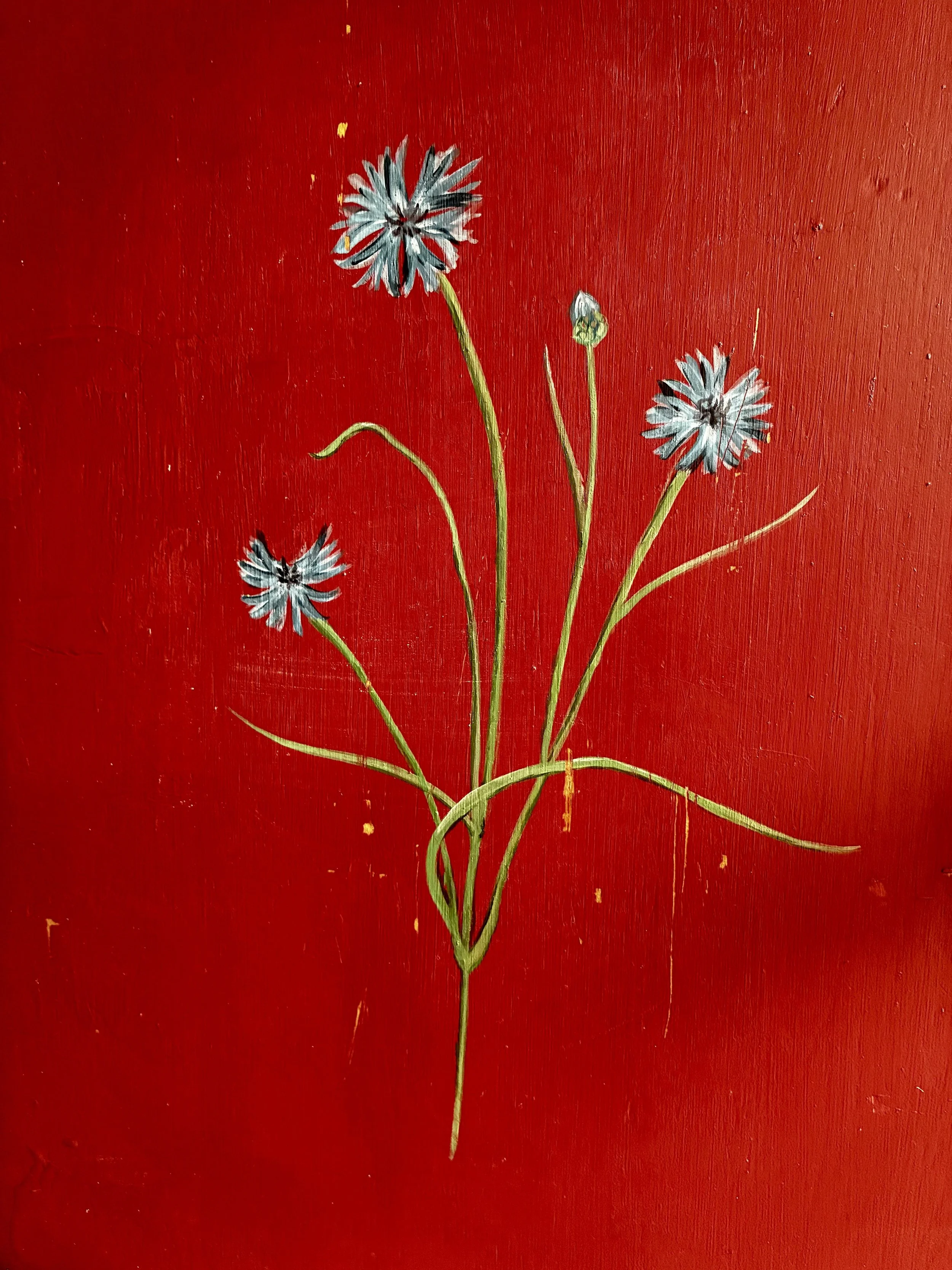red-painted-oak-cupboard-2010s-sku63557764_0 (7).jpg