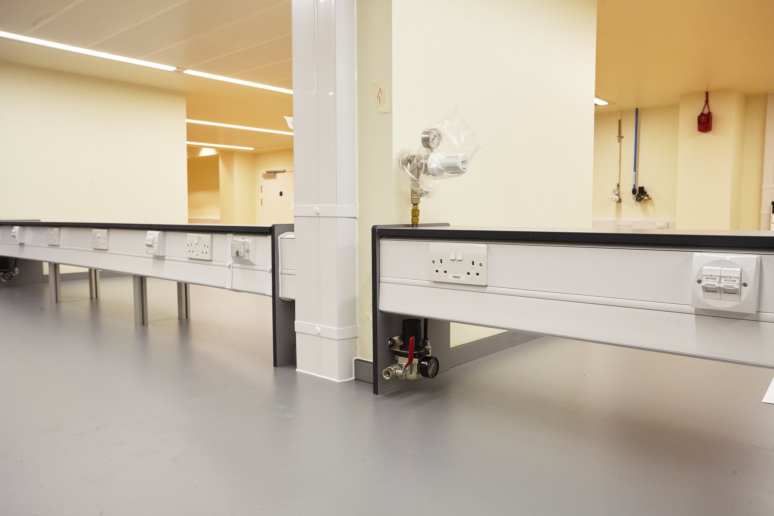 UCL_Anatomy_June17-006.jpg