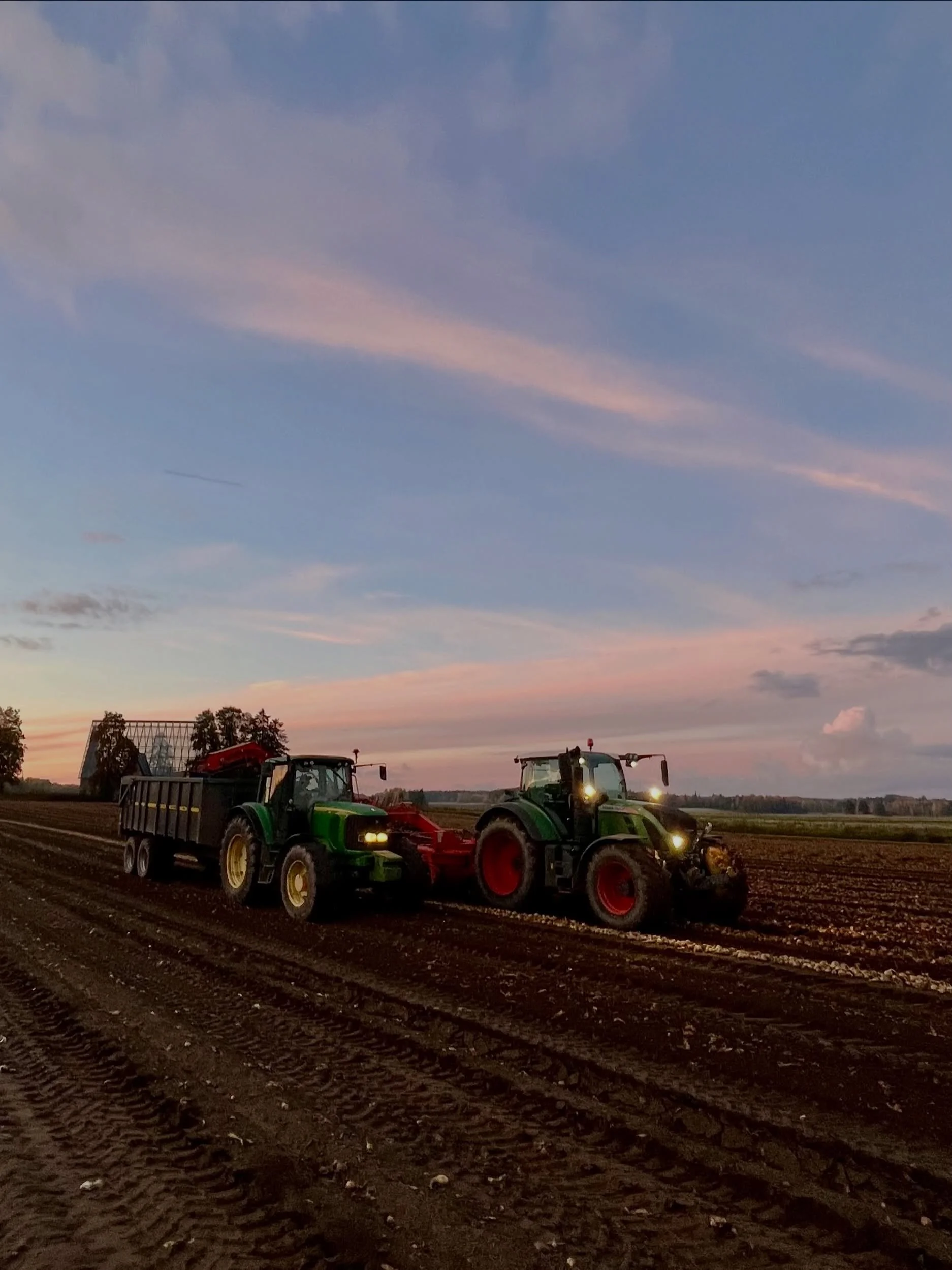 Onion harvest is done for the 2026 season! 🧅🚜

It definitely wasn&rsquo;t the easiest season. Rainy weather and more than a few machinery problems kept us busy, but luckily we still managed to get the storage full!

Now the work continues with sort