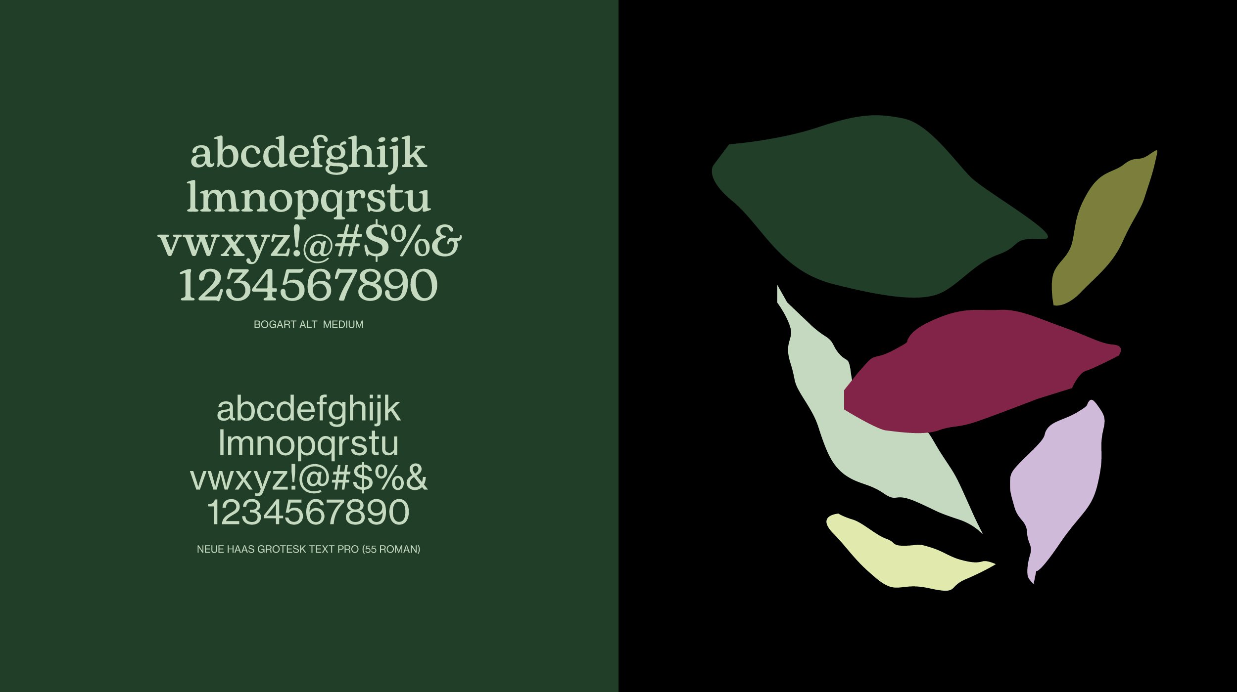 HEALTH-TYPE copy.jpg