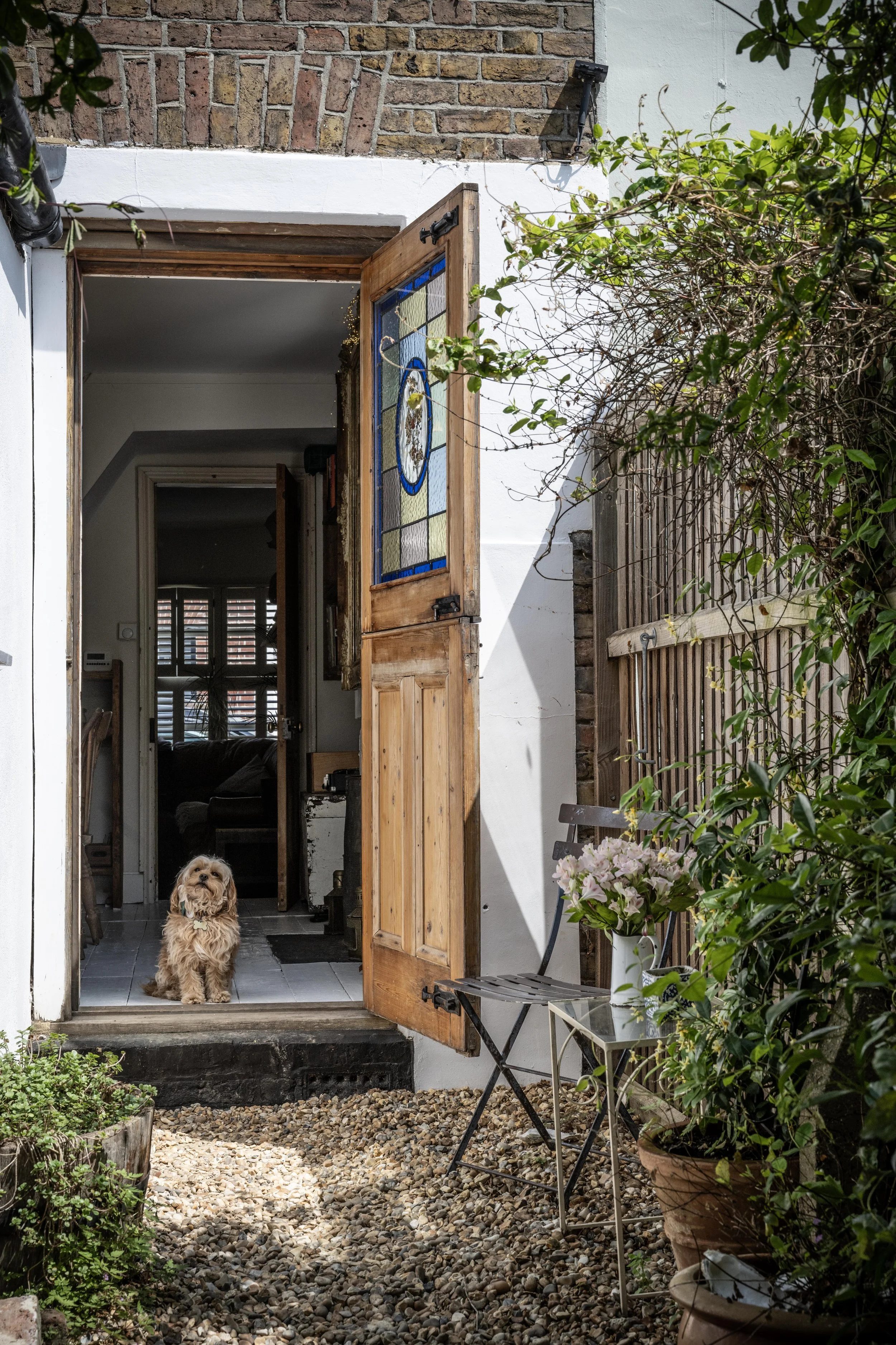 Our garden is completely dog-proof. 