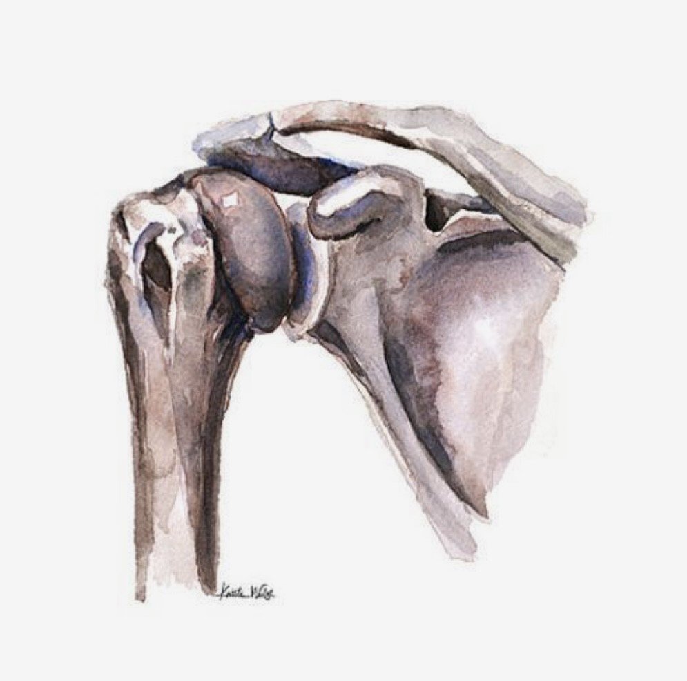 What is Frozen Shoulder?