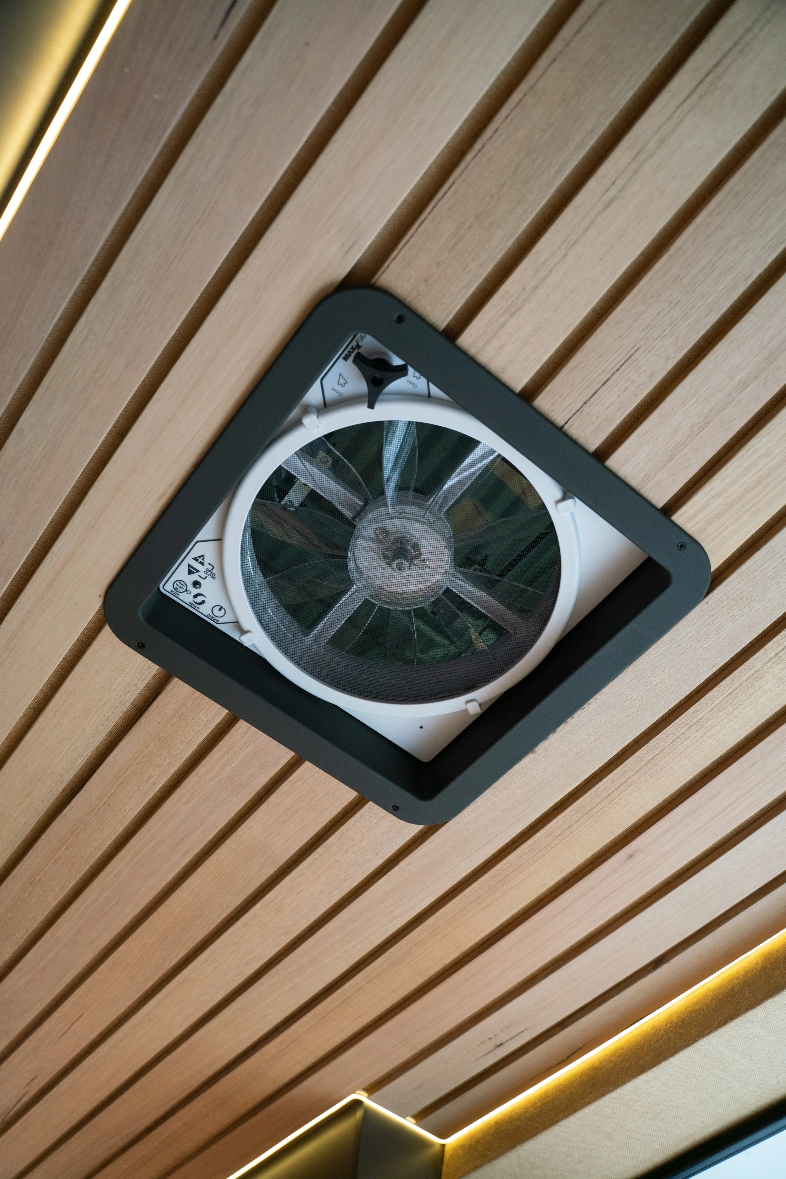 ceiling-.jpg