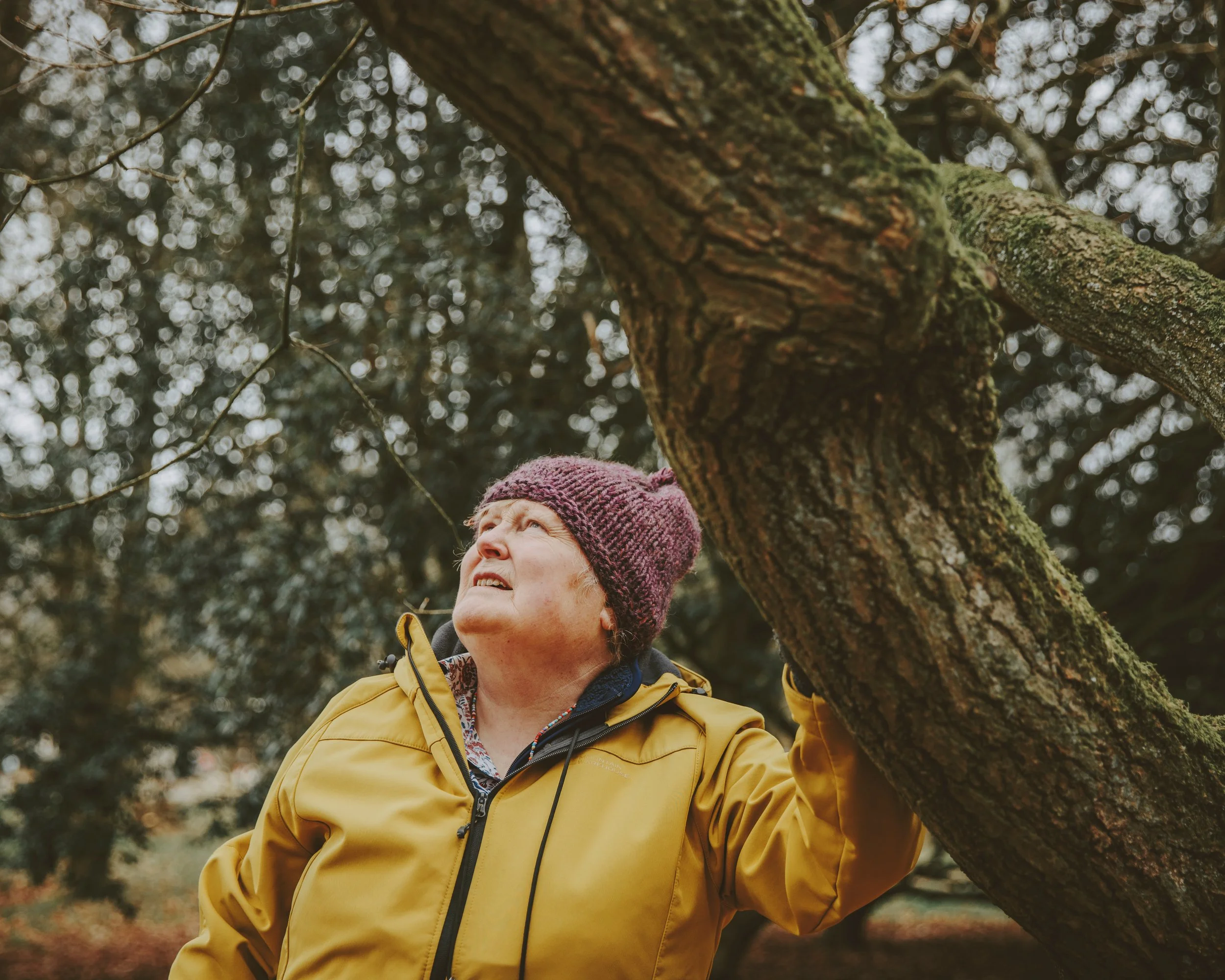 Natural Health Service for North Yorkshire