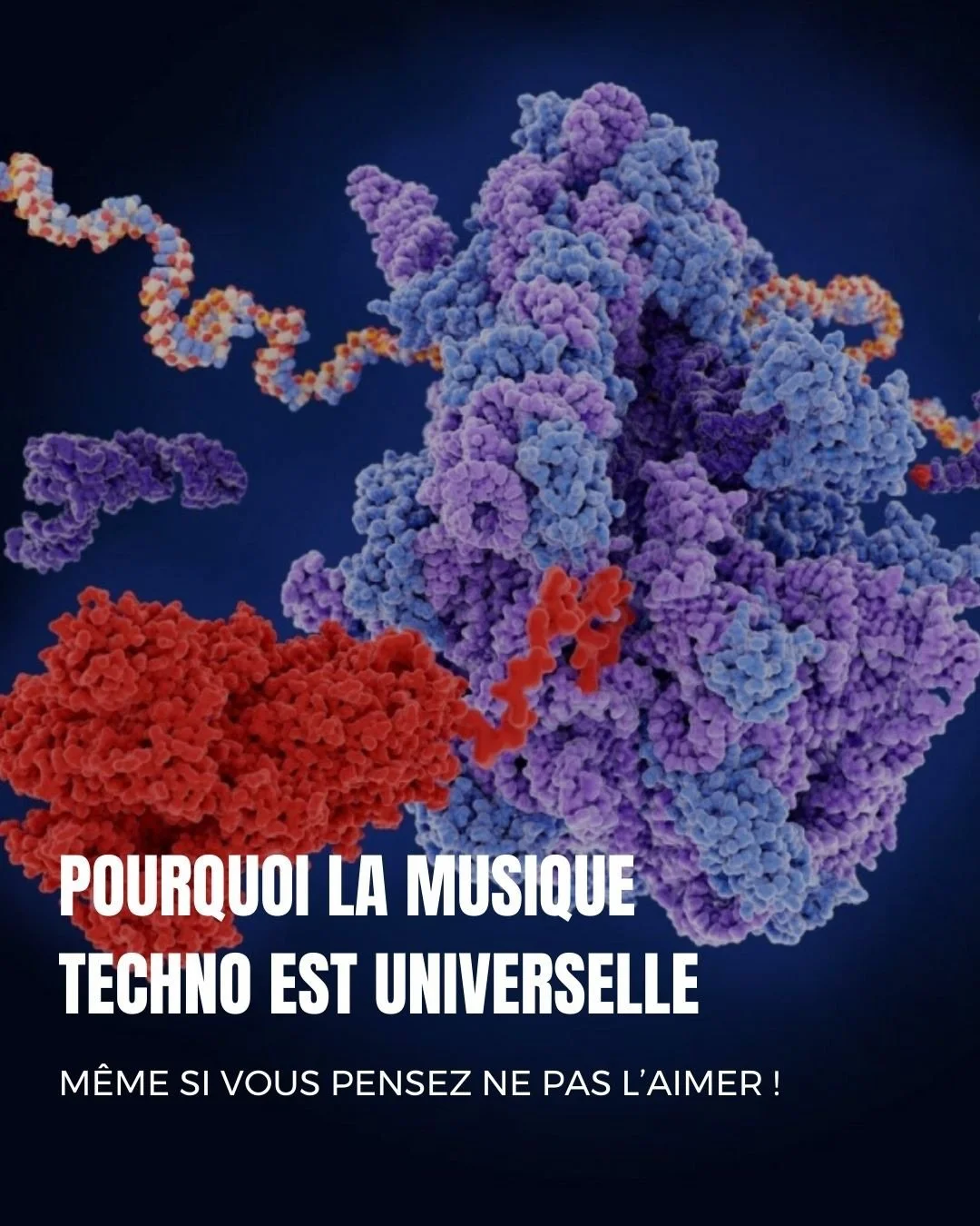 On croit souvent que la techno est une affaire de go&ucirc;t.
En r&eacute;alit&eacute;, c&rsquo;est une affaire de corps.

Derri&egrave;re chaque style &mdash; minimale, ambient, indus, hard, downtempo&hellip; &mdash; il y a une architecture qui parl