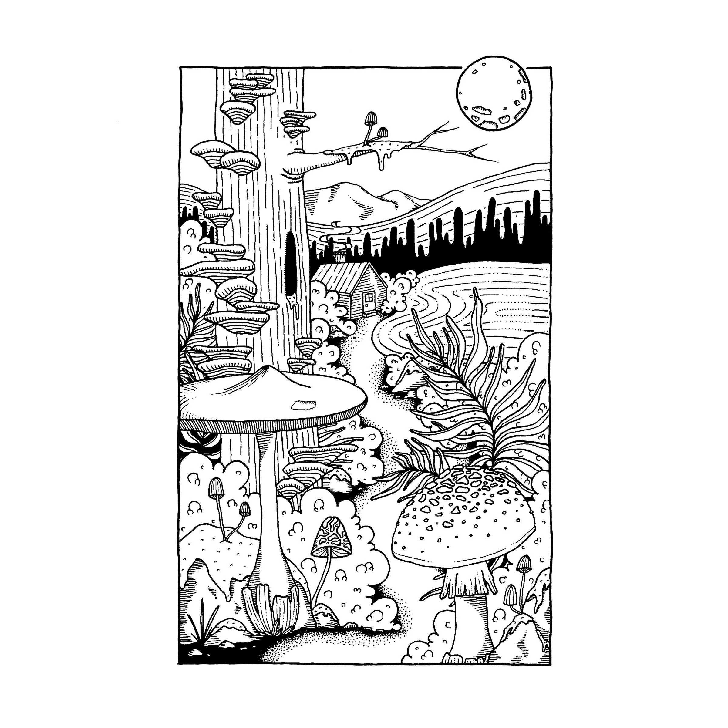 Magical Mushroom Cabin - Square.jpg