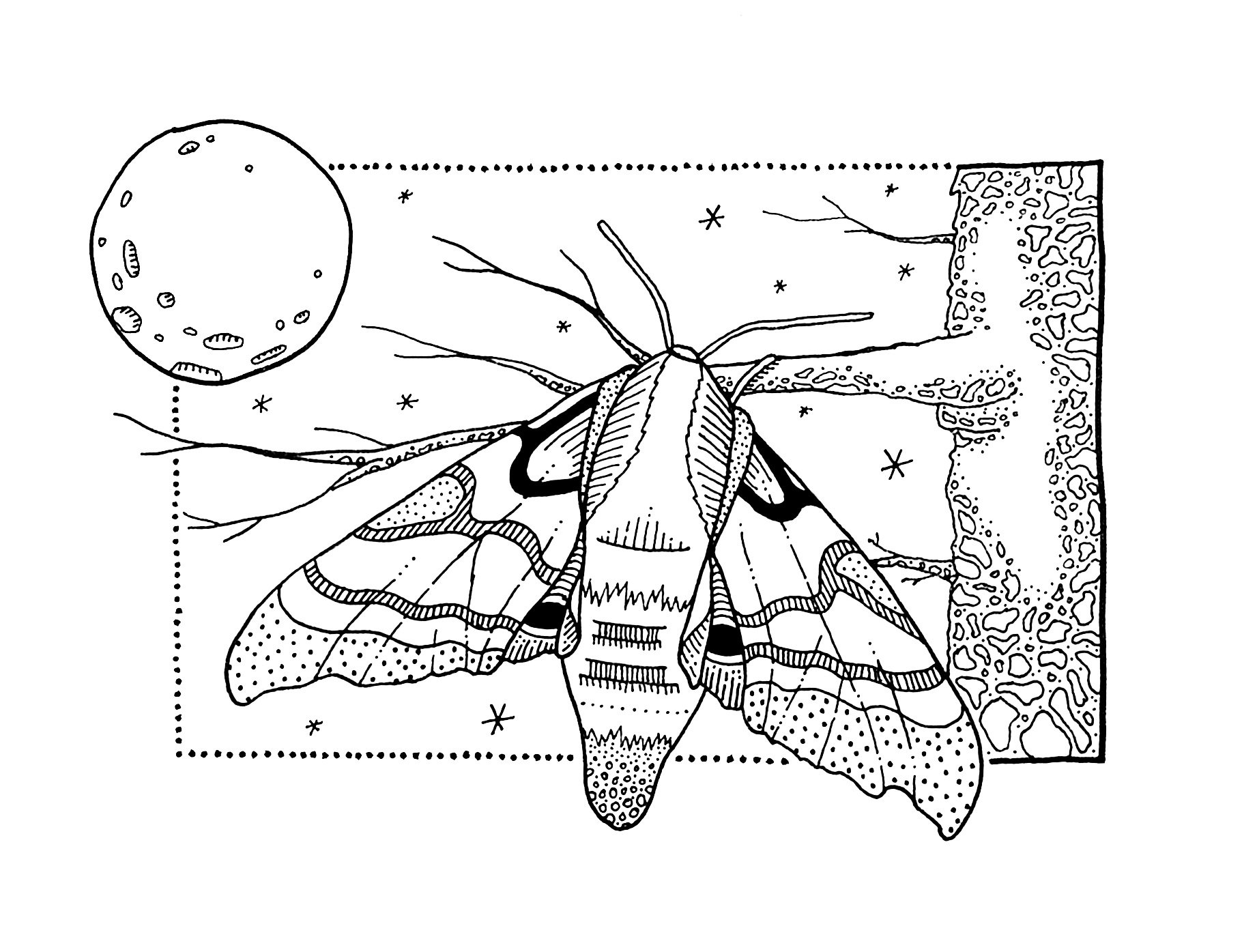 Moonlight Moth copy.jpg