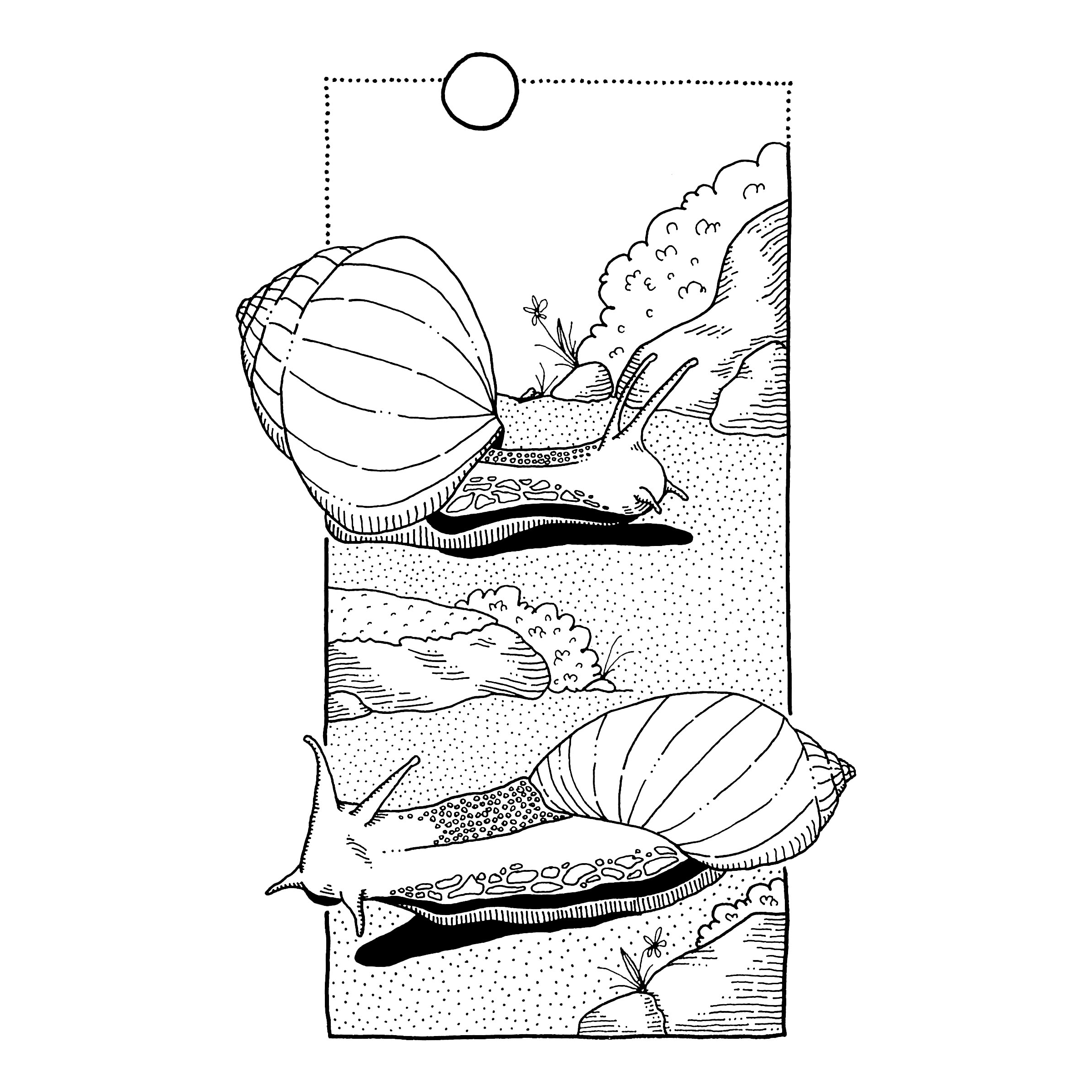 Gaint Snails - sm square.png