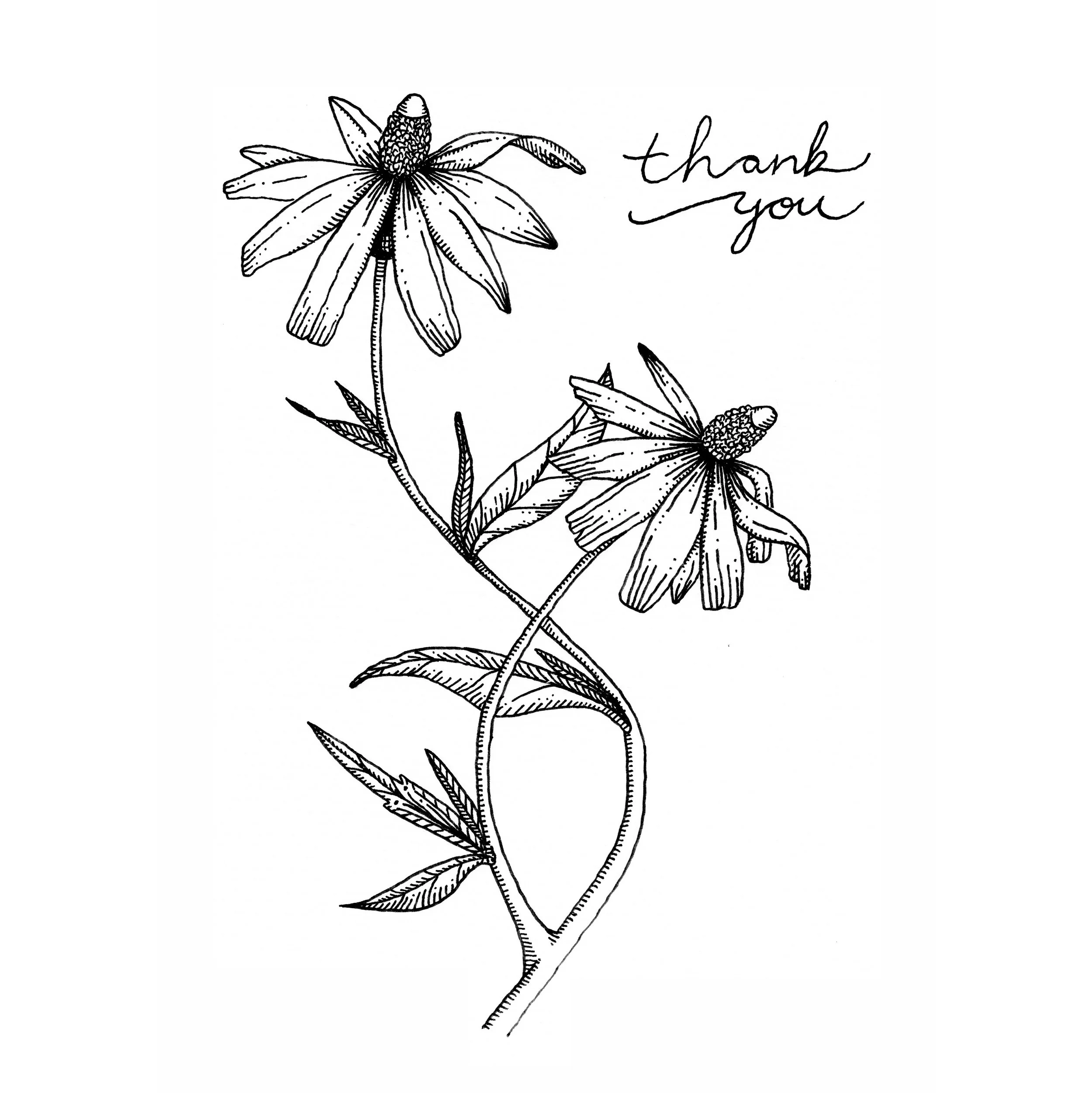 Thank You 01 - square.jpg