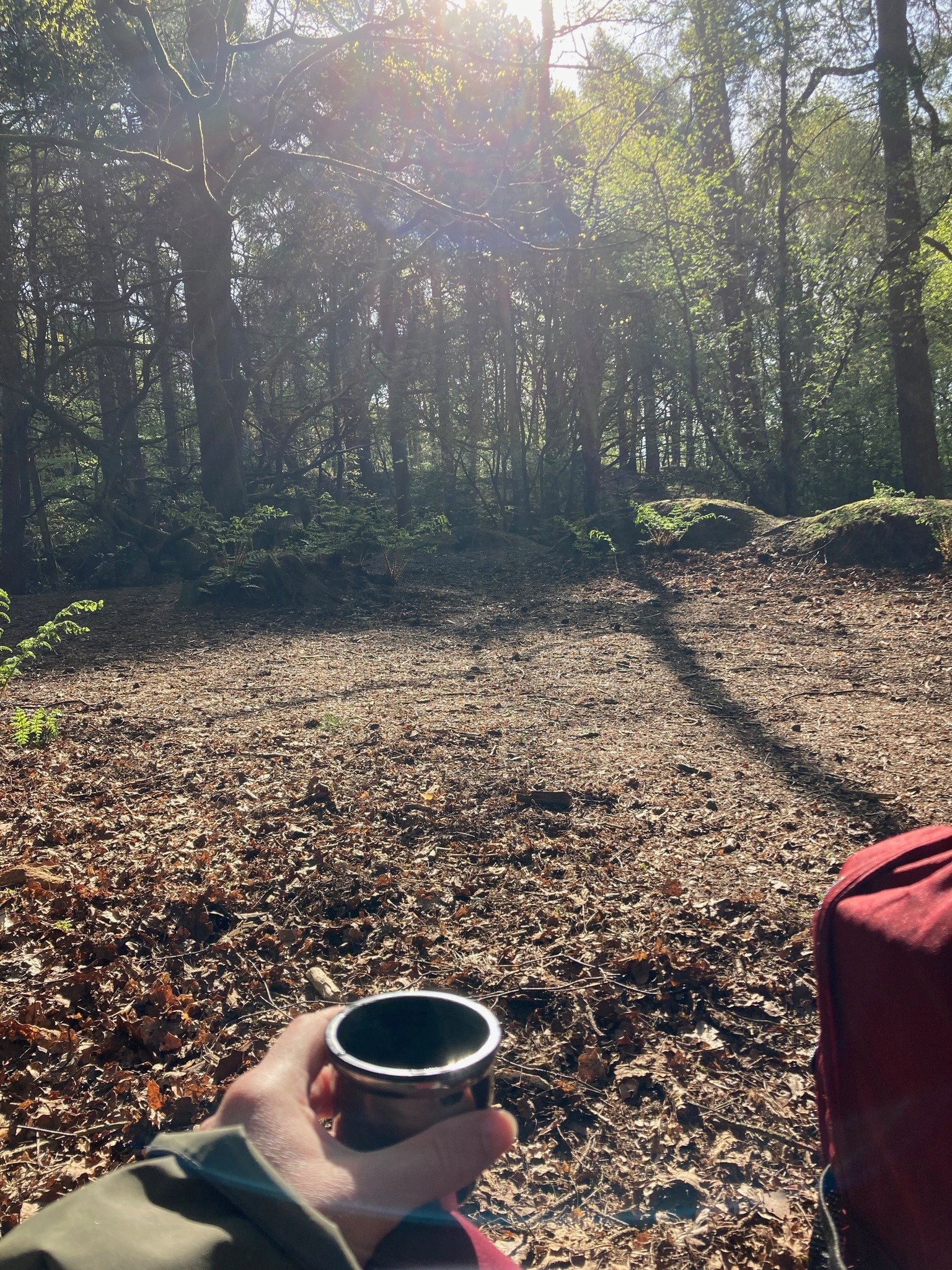 🌳Join me in the woods this month...

For forest bathing, cacao, journaling, meditation &amp; so much more!

The earth is warming, the sun is shining, the birds are singing, life is blooming... 

Come &amp; hang out in nature to nourish your mind, bo
