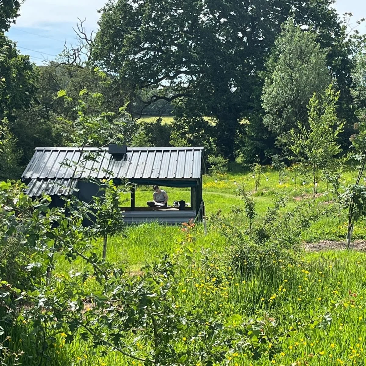 The call to the land 🌿

As spring moved toward summer the physical draw I felt to be with the land grew stronger 🧲

My whole being just wanted to be out on the earth! 👣 

Spring was unusually cold here &amp; it felt like summer would never come! 
