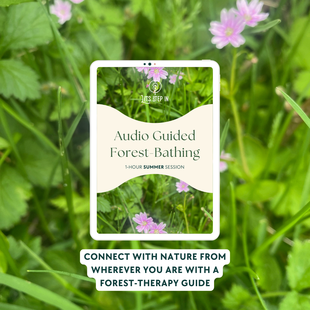 Forest Bathing: 1-hr Audio Guided Summer Session