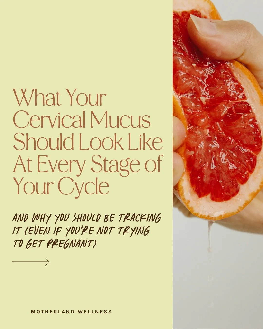 Want free answers about your cycle and overall health? No, this is not a trick question. Look no further than your cervical mucus.

No really, it&rsquo;s your body&rsquo;s built-in lab report. It shows what&rsquo;s going on in real time. No pricey te