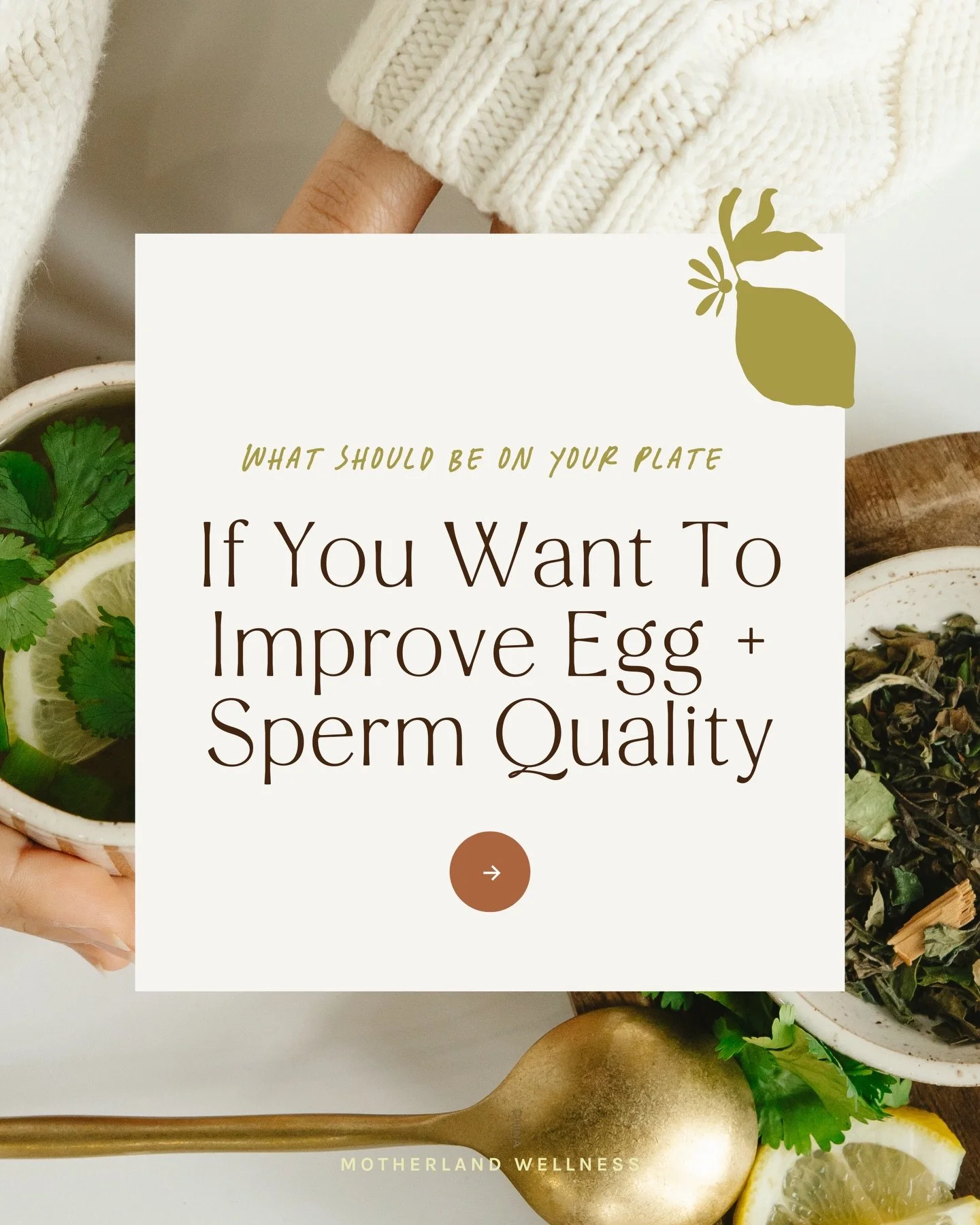 Trying to get pregnant in 2026? What&rsquo;s on your plate right now?

I know you&rsquo;ve heard me go on and on about this before but nutrition is the foundation for health, even more so when you are prepping for TTC. You want to set your body up fo