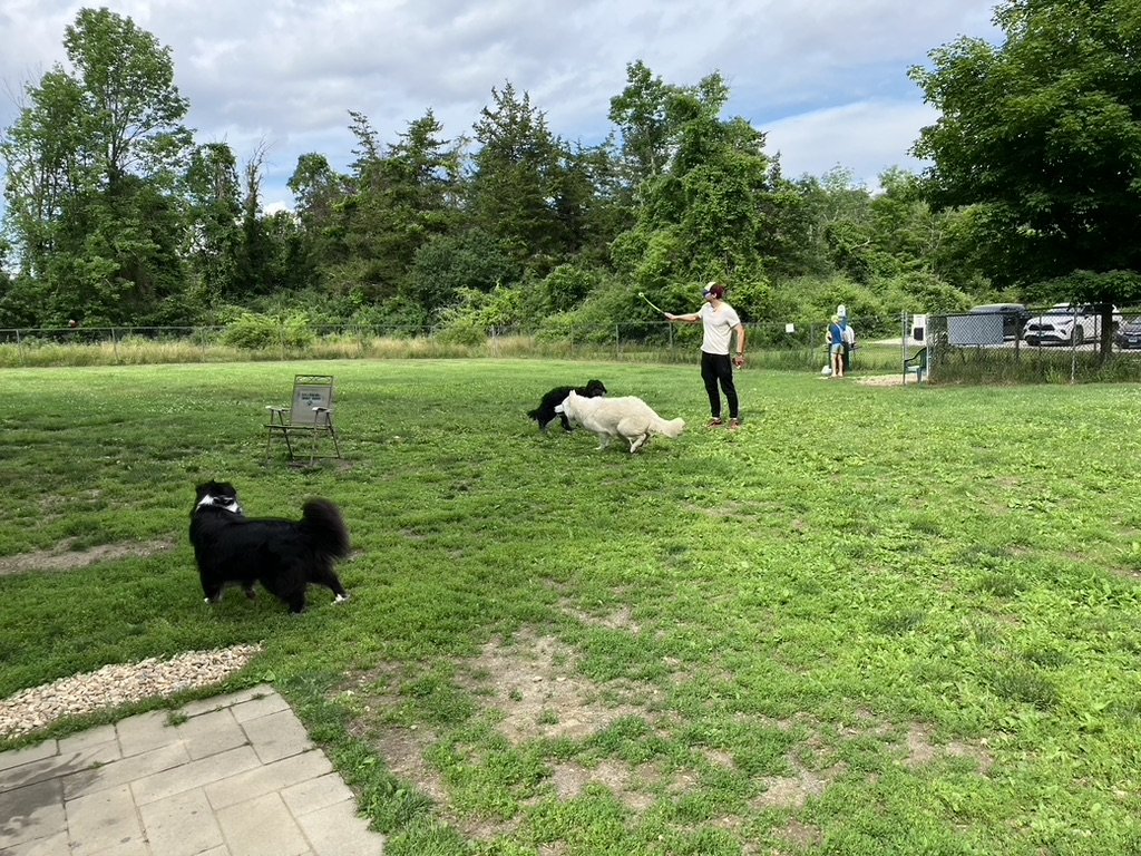 IMG 5.jpeg