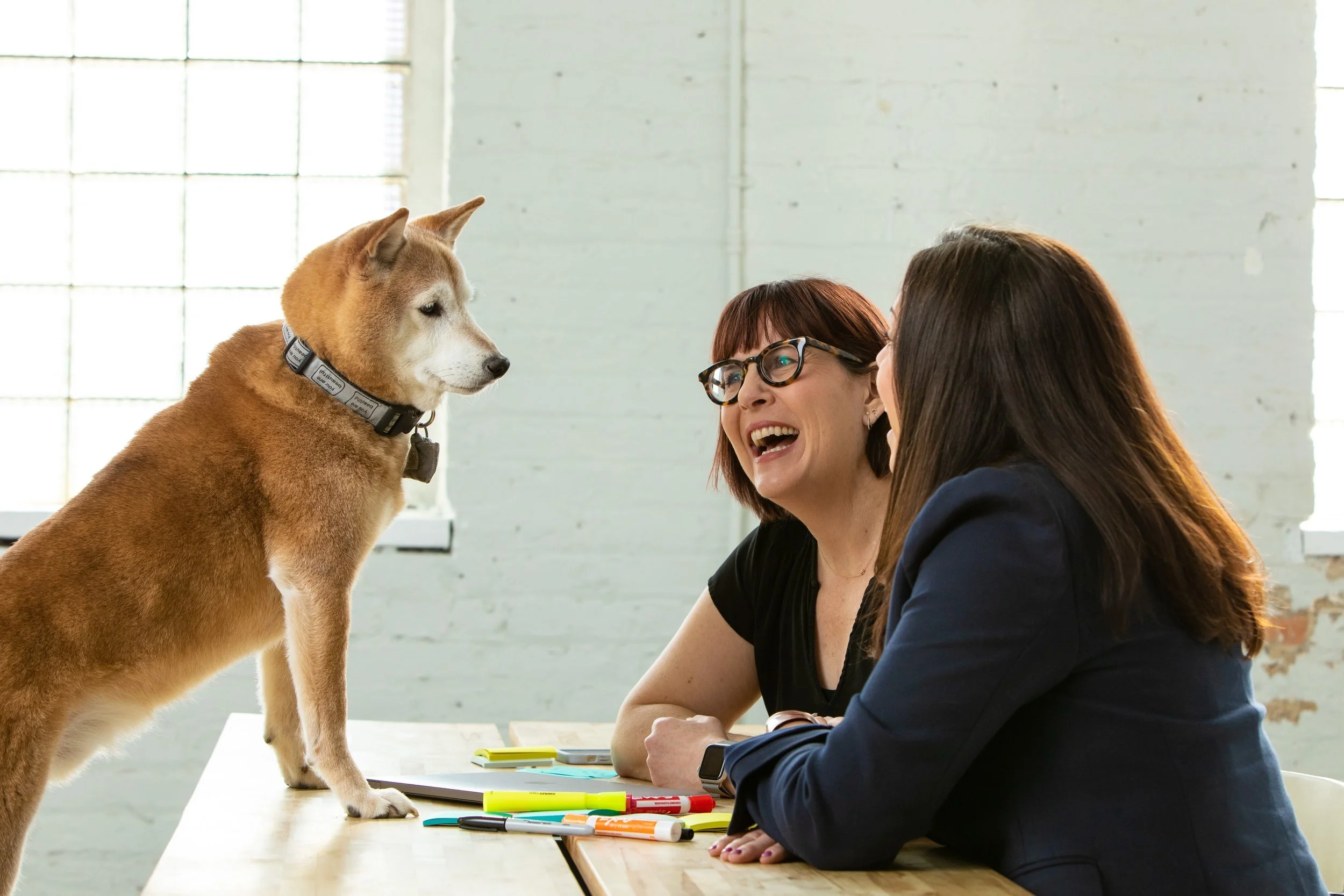 Two women sitting at a table with colorful markers, engaging with a curious dog standing on the table, in a bright, industrial-style room with large windows and white brick walls.