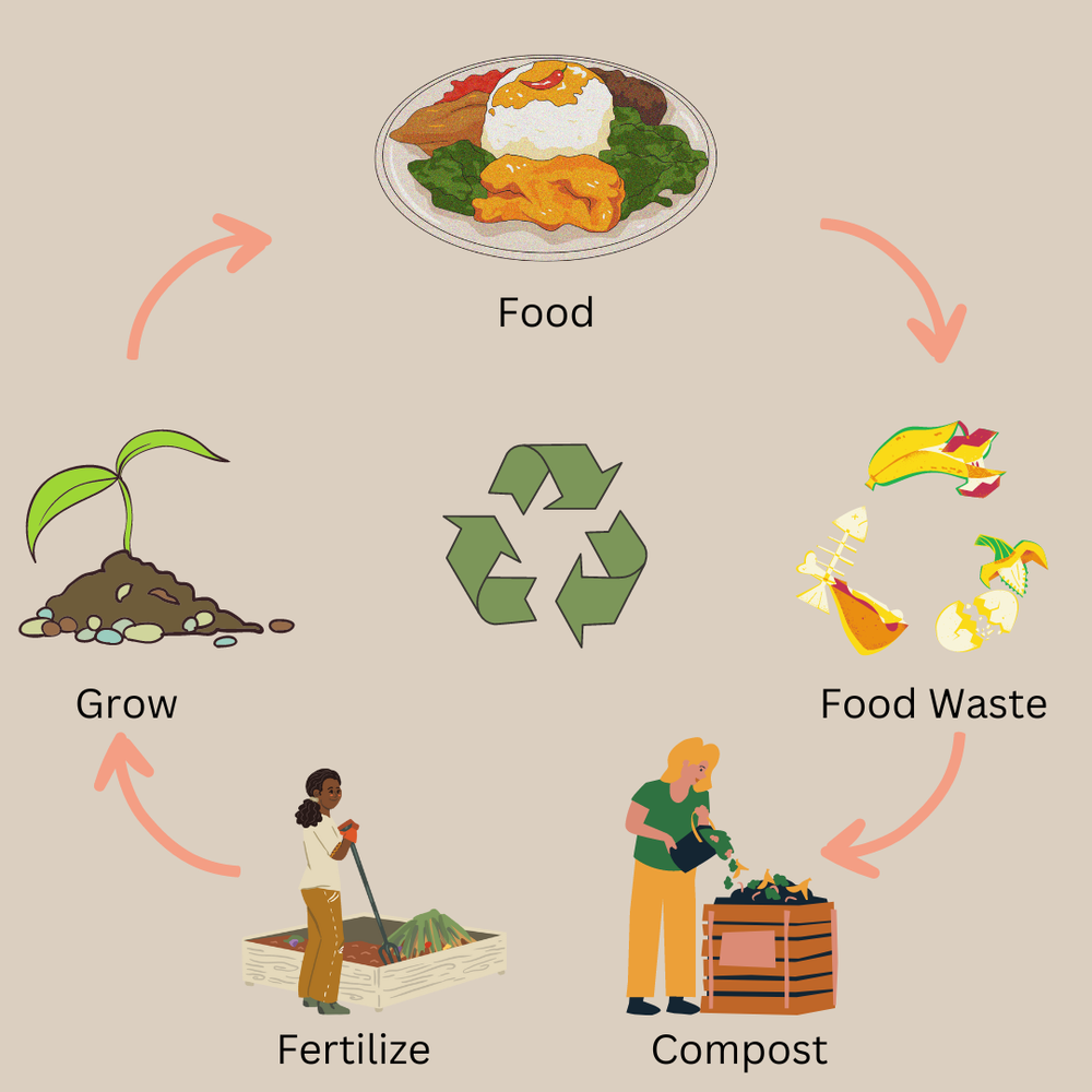 Guide to Healthy Soil and Happy Plants: Composting for Beginners ...