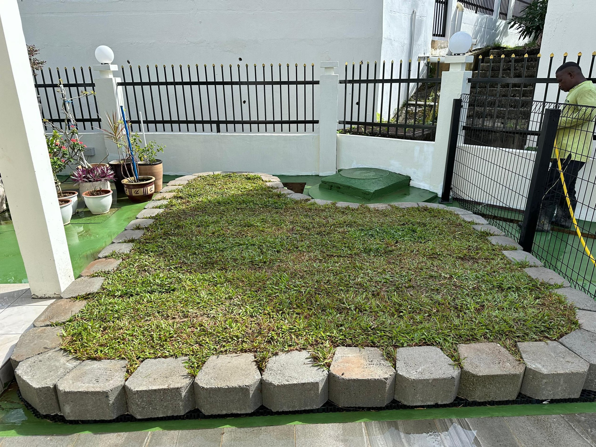 Greenscape project complete grass planting