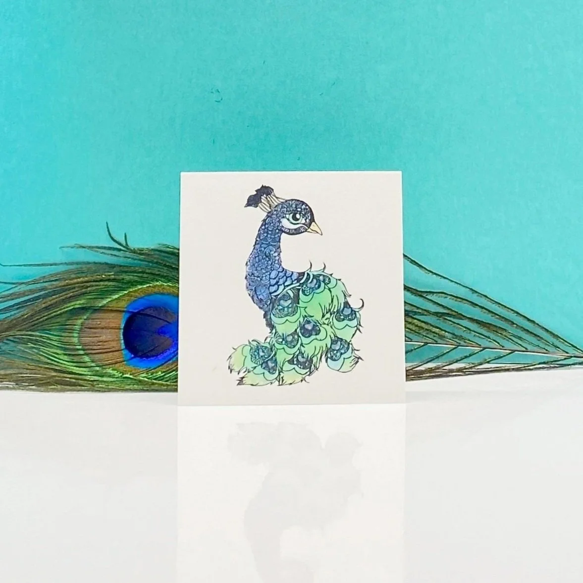 PEACOCK.jpg