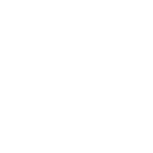Lü's Bio Rösterei