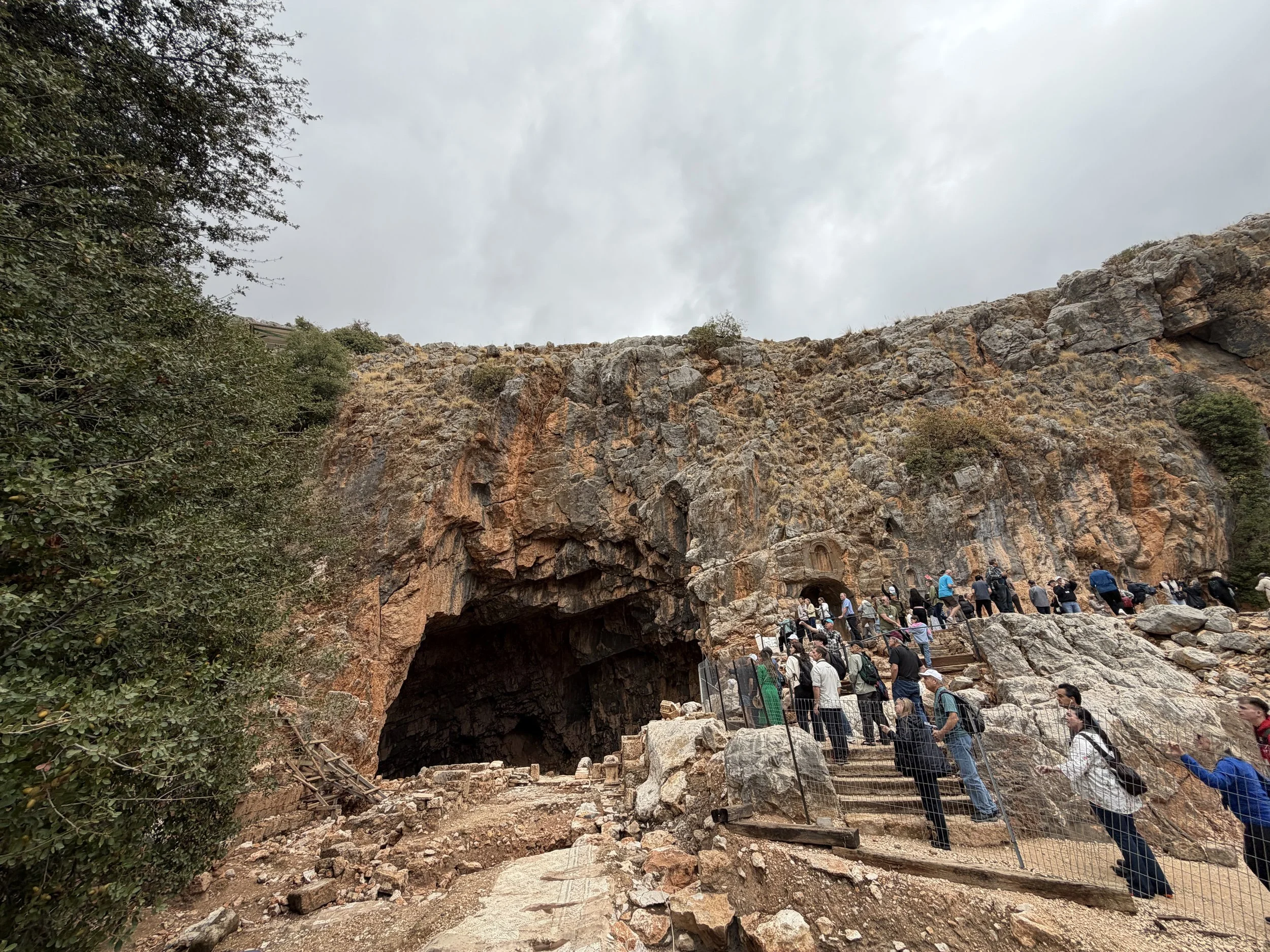 Photo Nov 14 2025, 11 05 56 AM.jpg