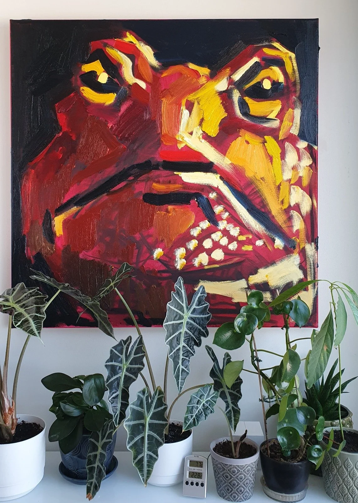 WhatsApp Image 2023-09-26 at 15.40.41.jpeg