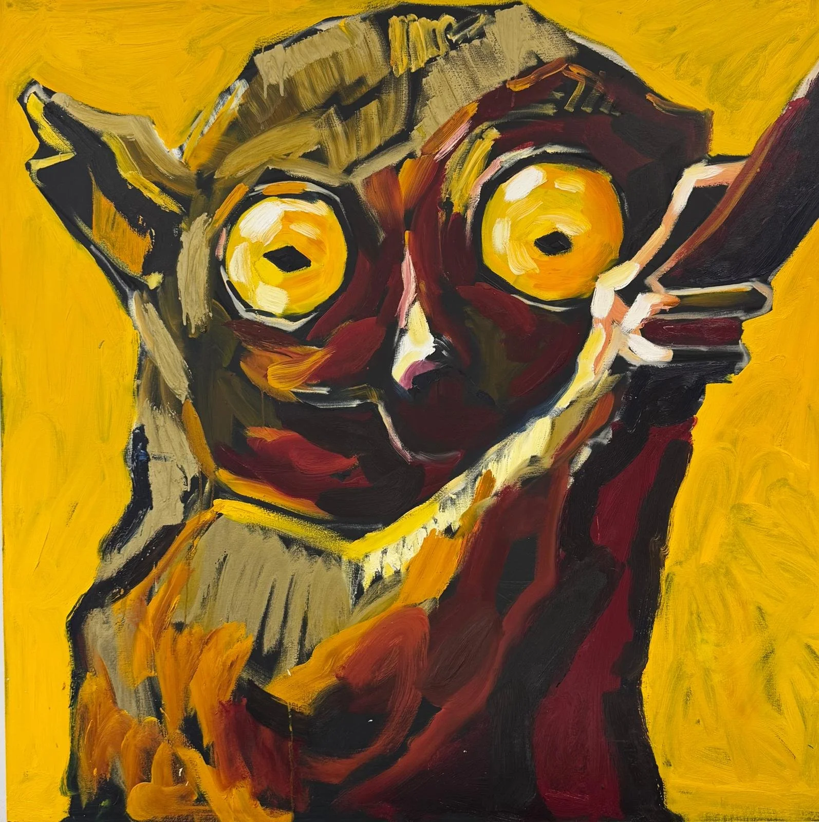 Coronaria,, Sammakkotalo