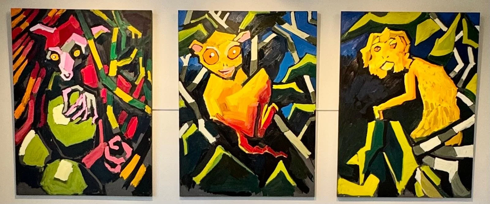 Coronaria, Sammakkotalo