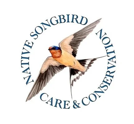 2013 California Songbird Seminar