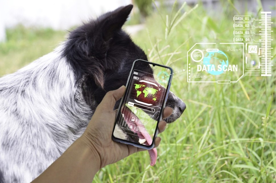 From Reactive to Predictive Care: A Conversation on AI and Animal Health