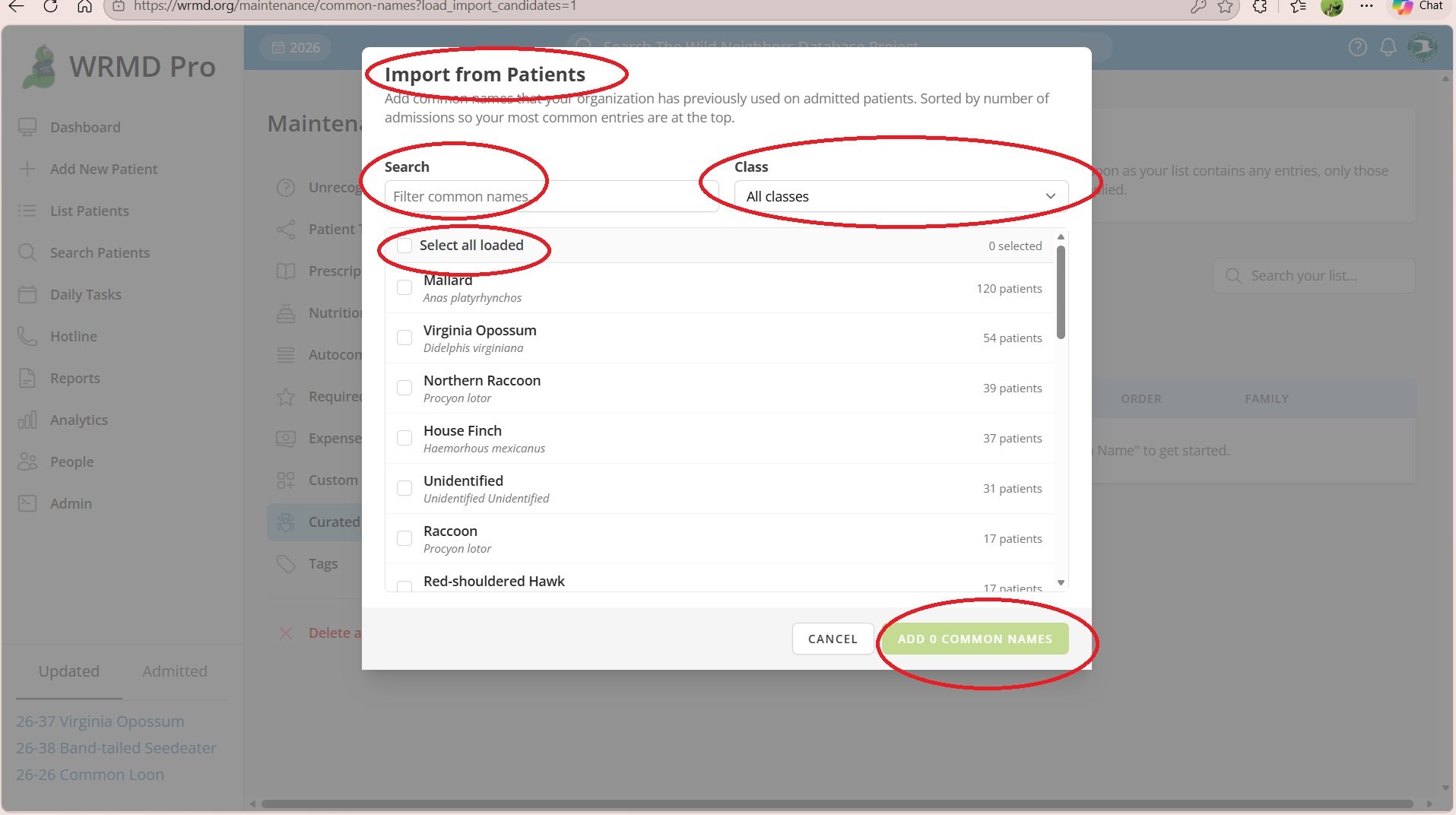 Find Your Species Faster: Introducing Curated Common Names