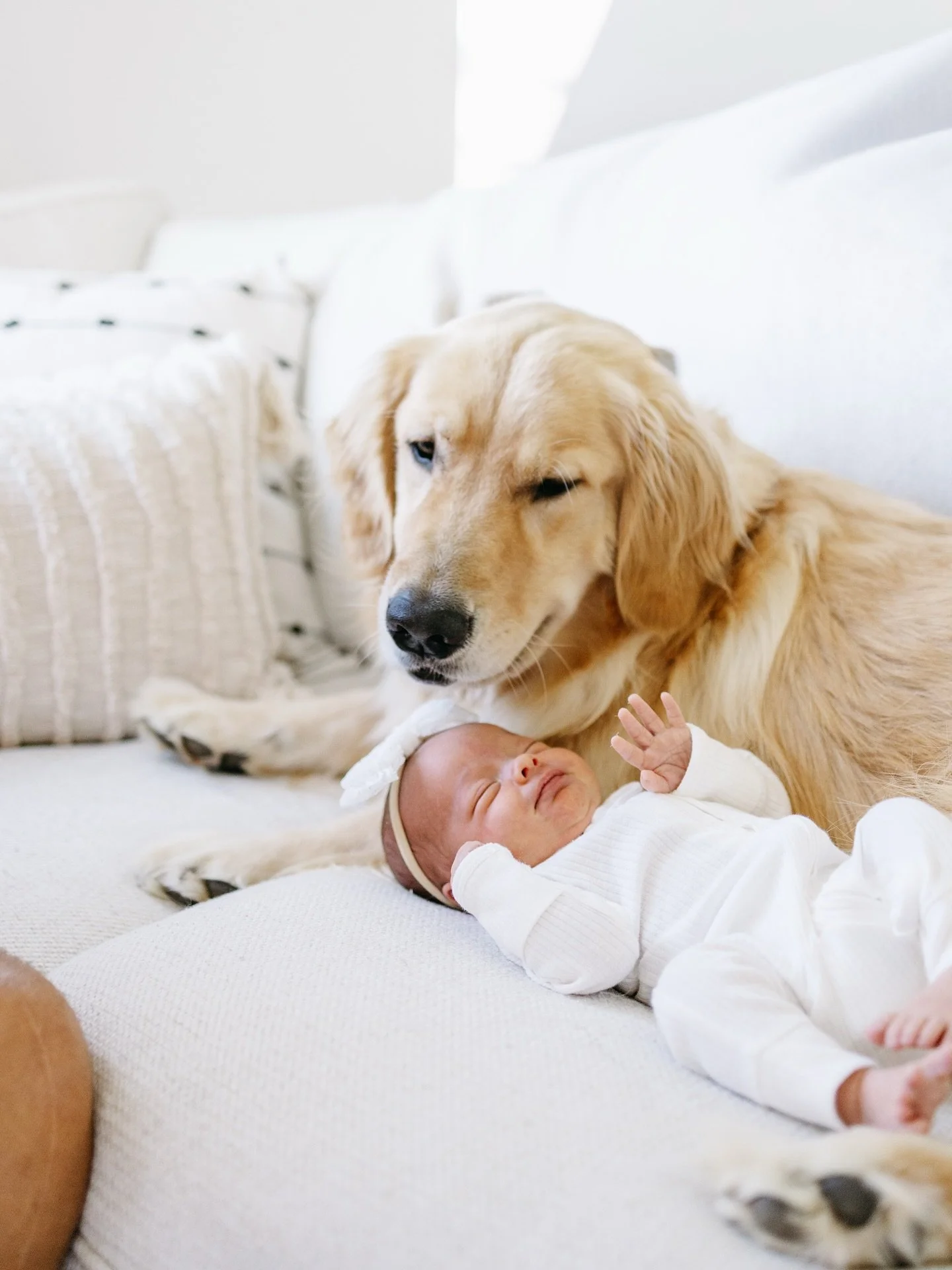 You know I&rsquo;m a sucker for a cute dog and baby combo. More to come from this session soon. Love this family 

-
-
#michigannewbornphotographer #inspo #dogandbaby #newbornsession #goldenretrieverlovers #oaklandcounty #family #photography #mochiga
