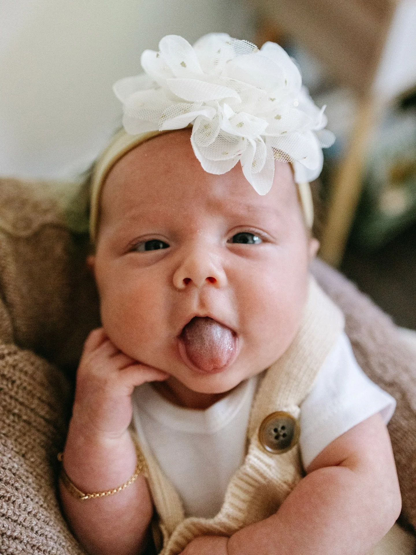 Full hands and a fuller heart

Happy New year!

-
-
#newbornsession #inhomenewbornsession #familyphotographer #michiganfamilyphotographer #familyphotos