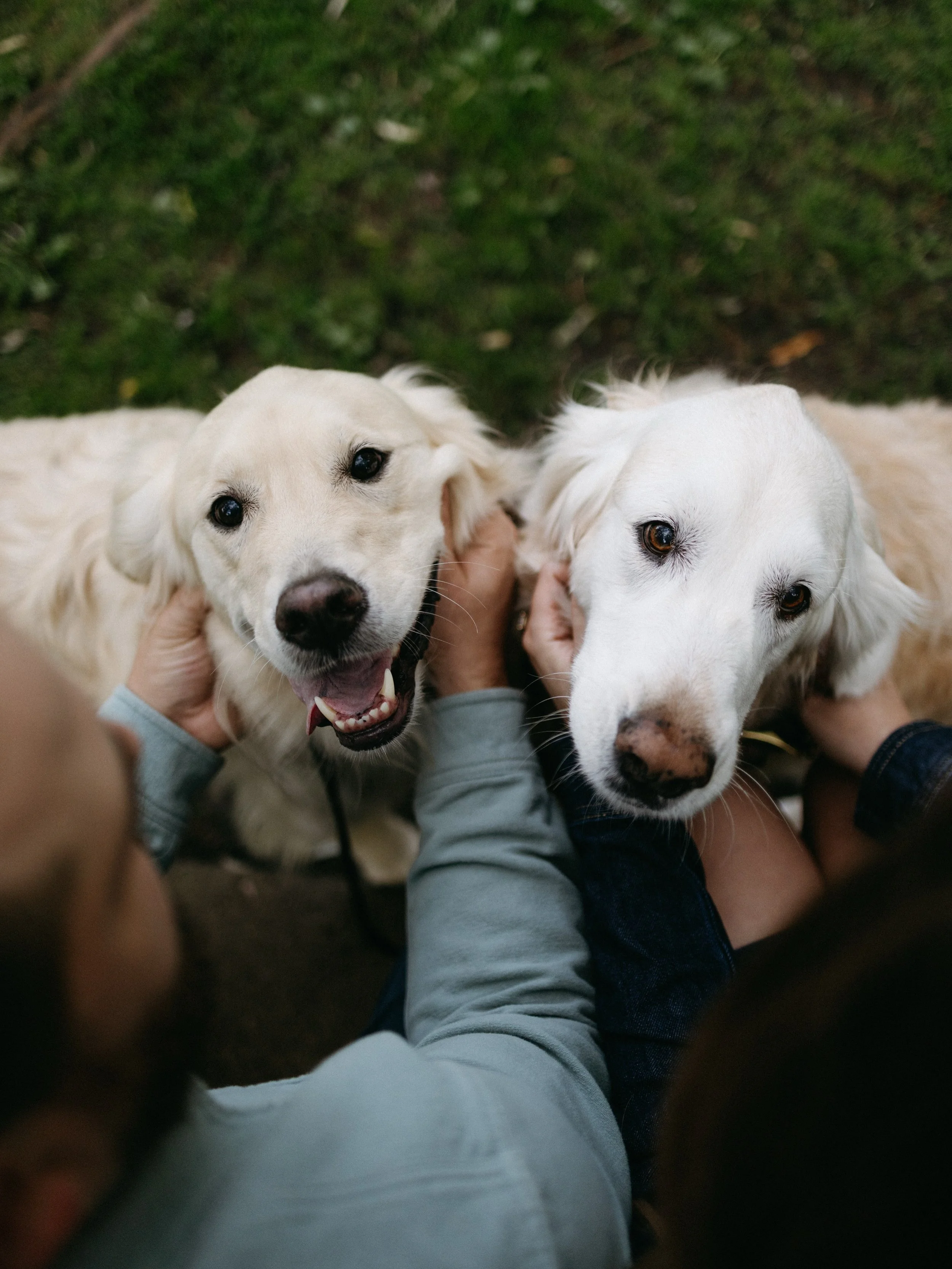 Get photos of your children.