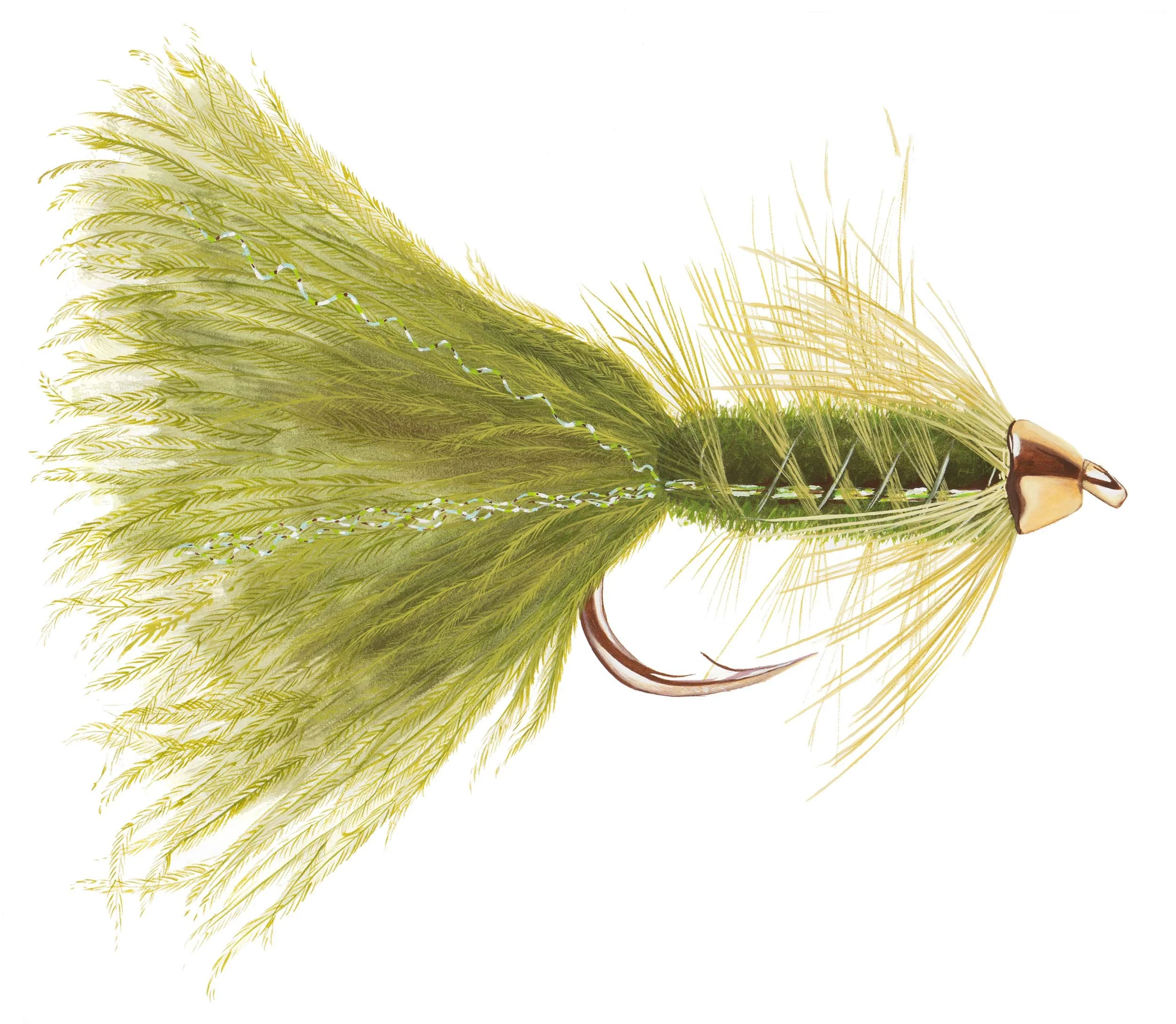 Tungston Cone Head Wooly Bugger