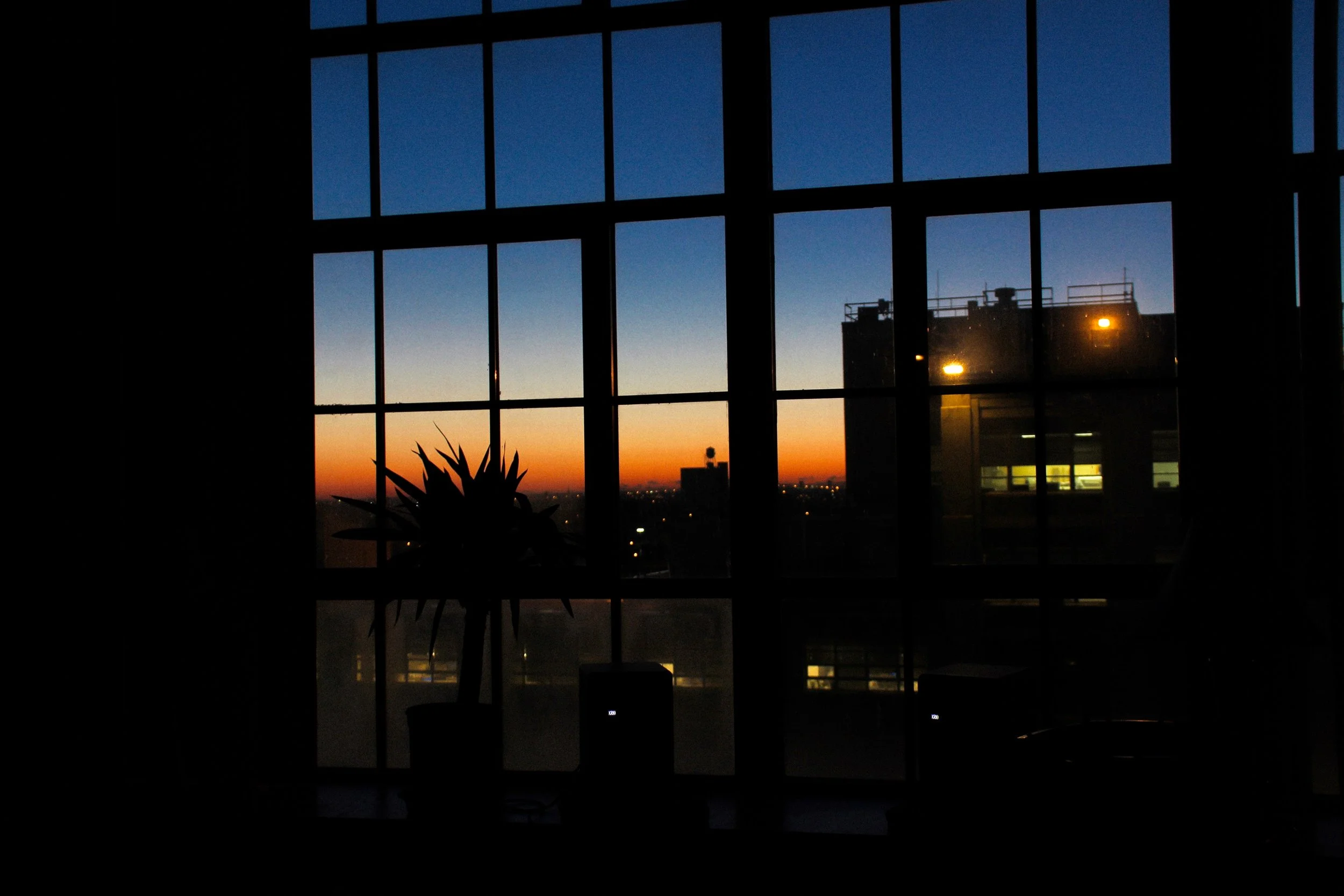 IMG_4533.jpeg