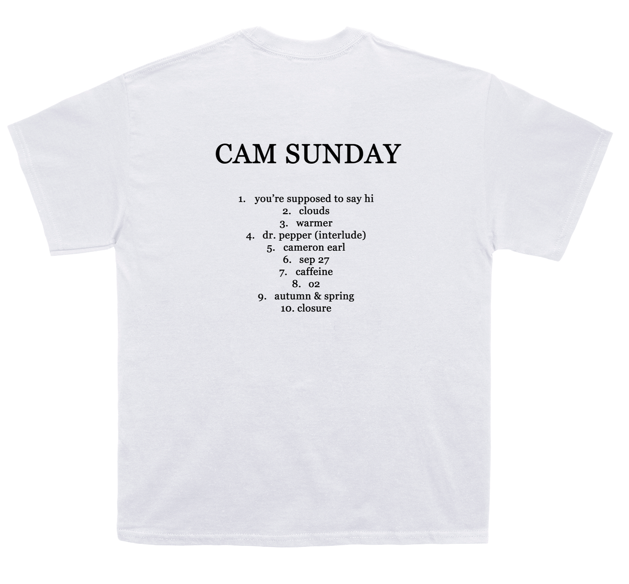 smaller+t+shirt.png
