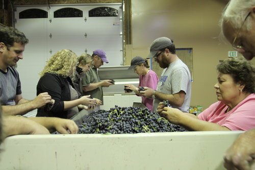 winery 1.jpeg