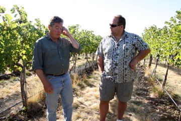 winery 5.jpeg