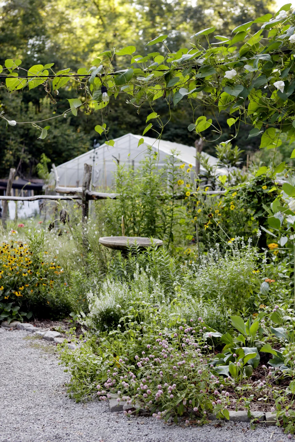 Meadow Creek Natives Native Plant Nursery Baton Rouge, LA