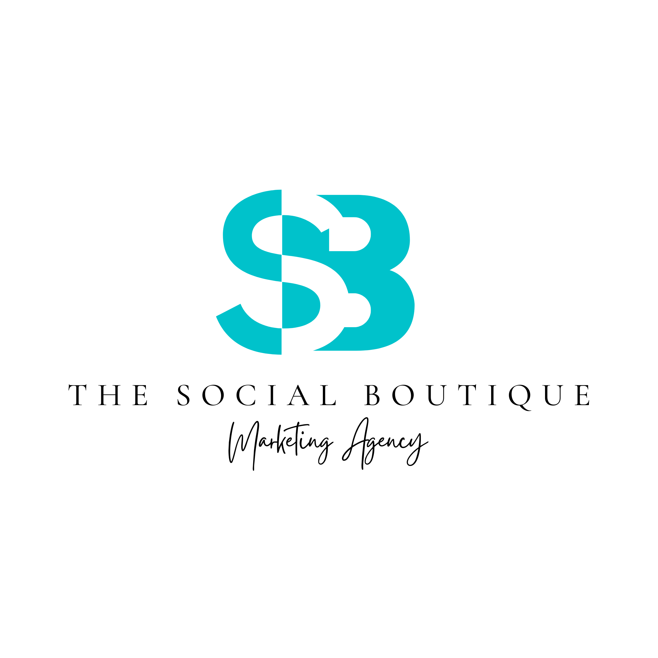 the-social-boutique-marketing-agency-logo